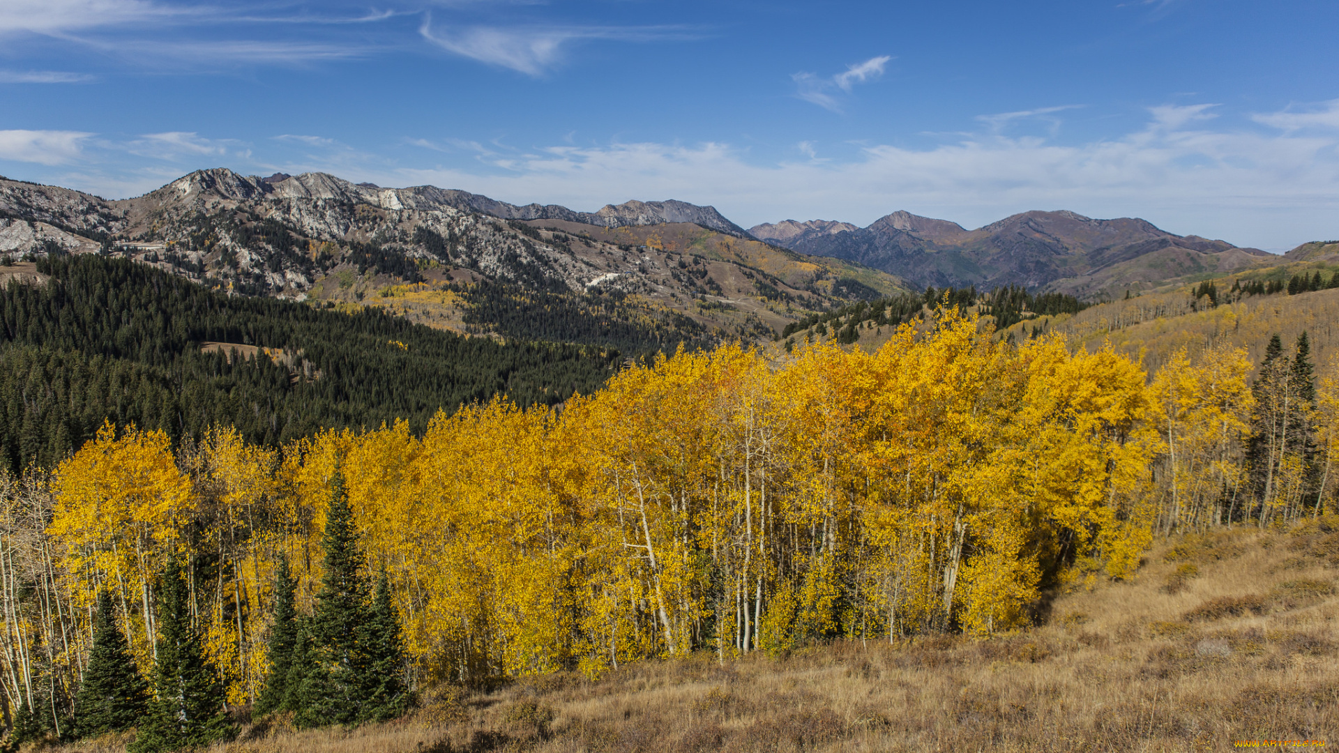 природа, пейзажи, краски, осень