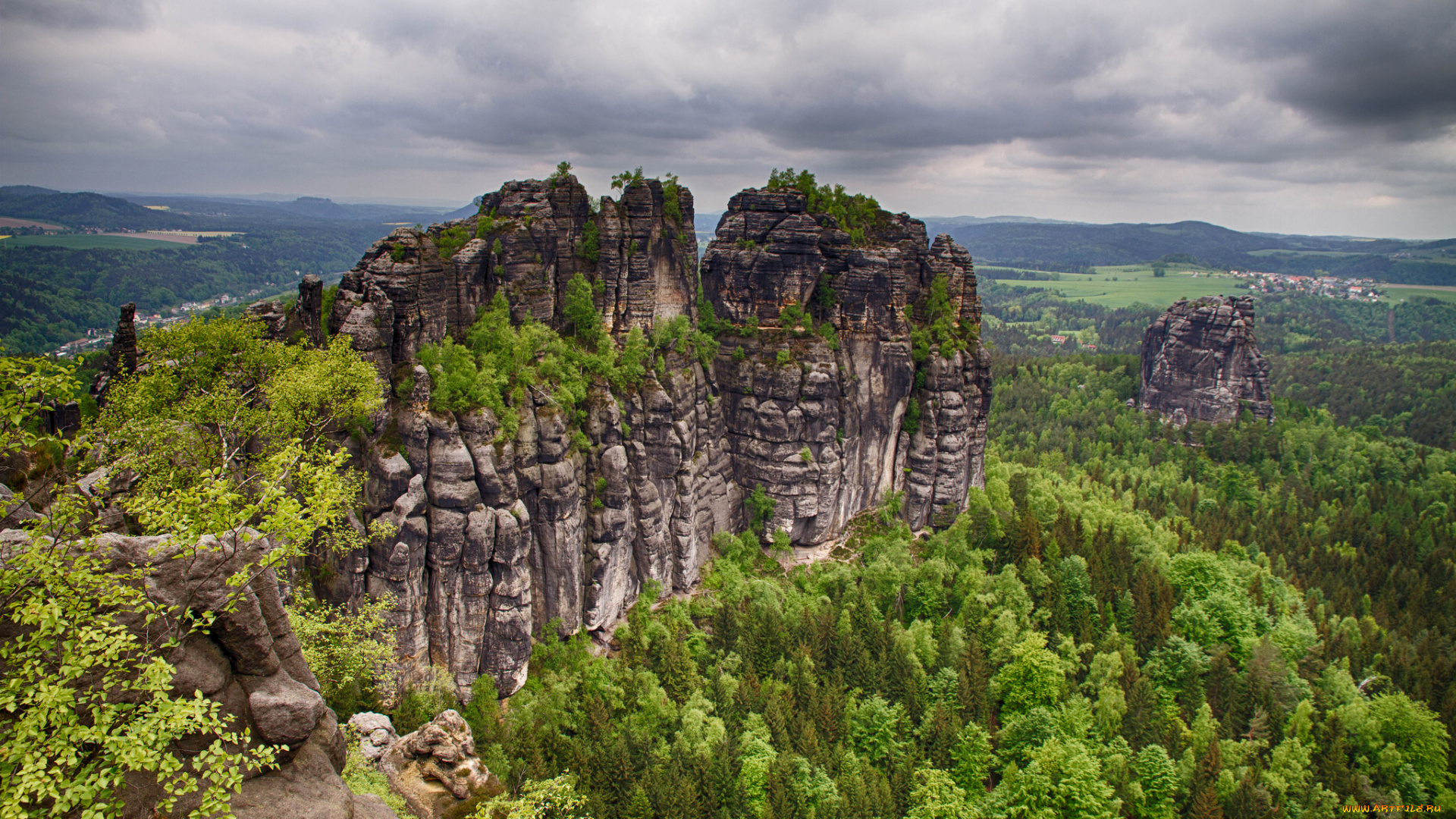 природа, пейзажи, лес, скала, равнина