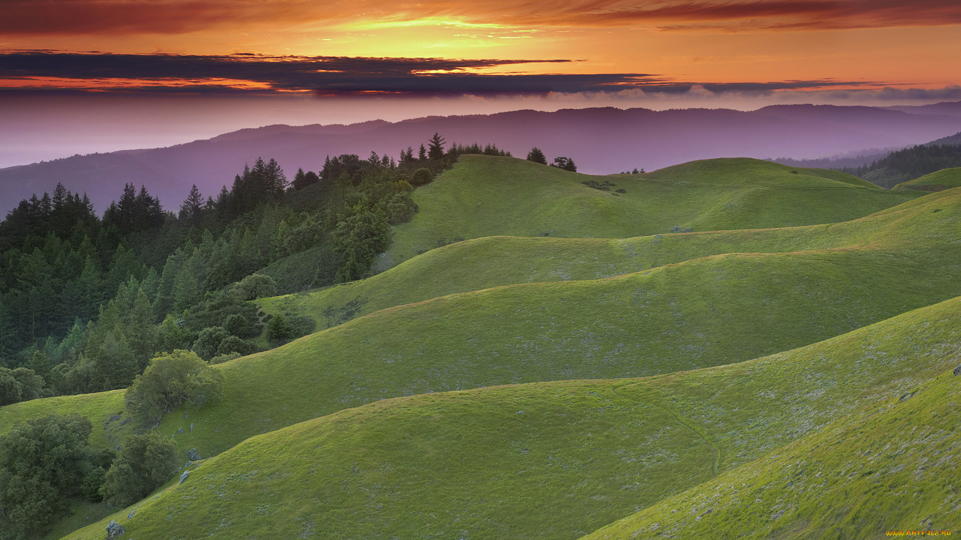 природа, пейзажи, небо, облака, закат, холмы, трава, деревья