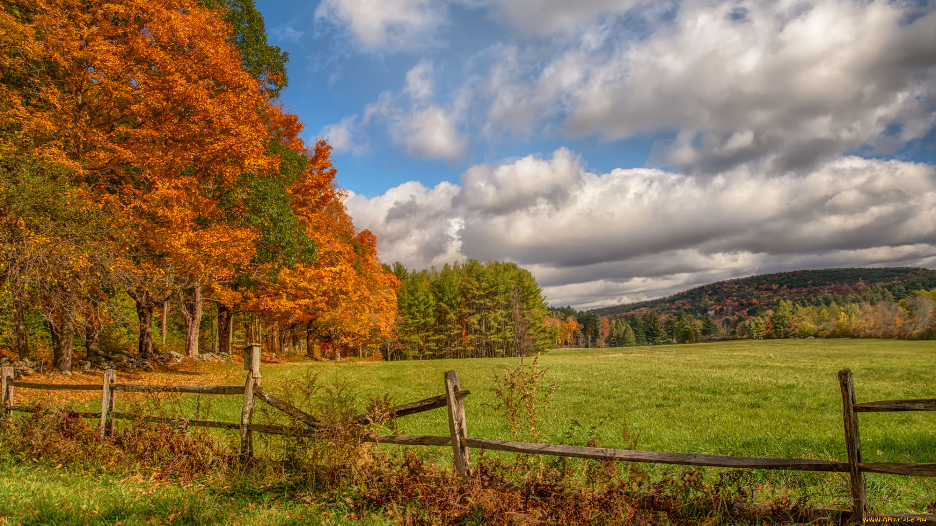 природа, пейзажи, поле, лес, осень