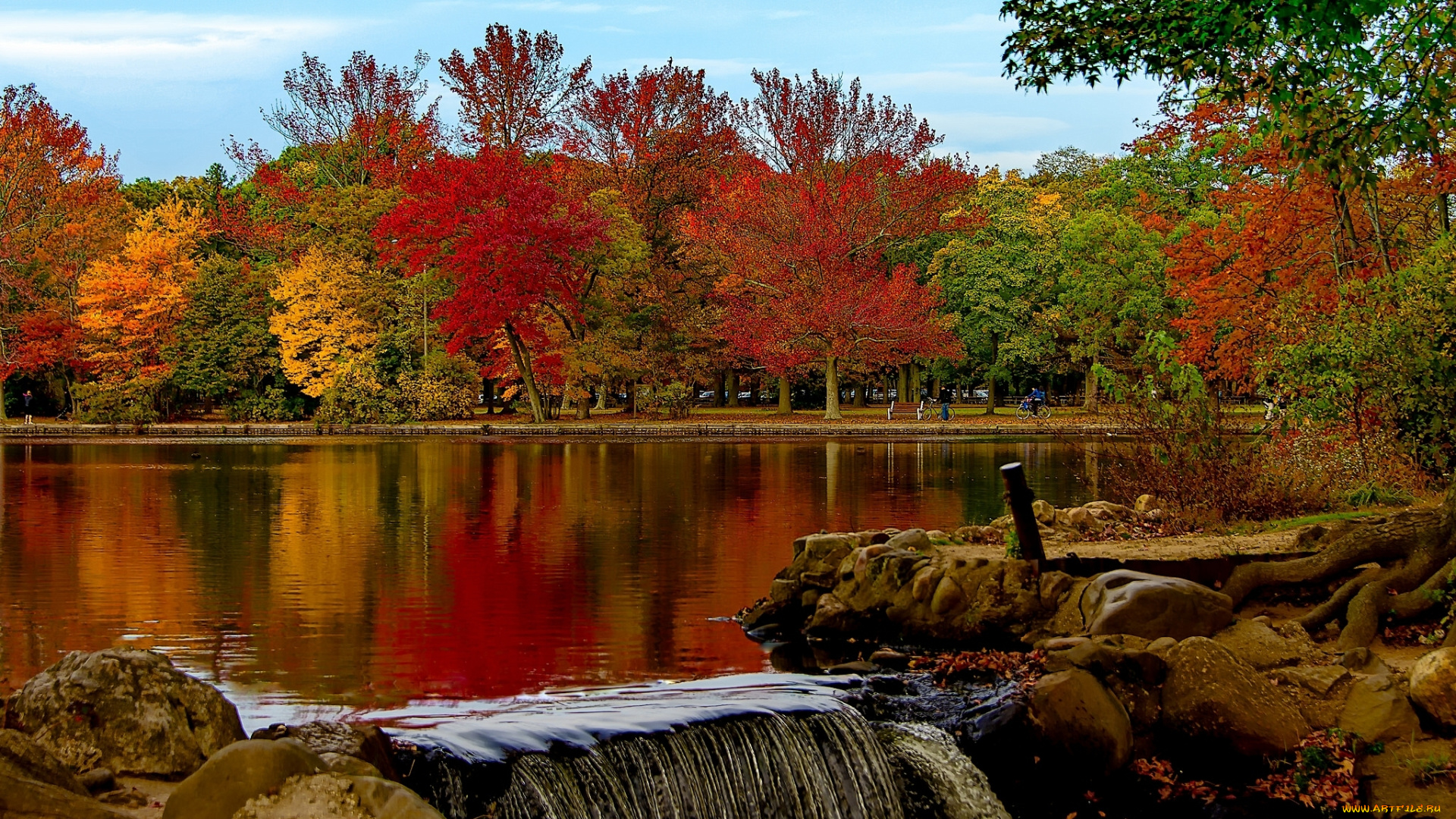 природа, реки, озера, деревья, озеро, belmont, lake, state, park, babylon, осень, парк, штат, нью-йорк, вавилон, белмонт, new, york