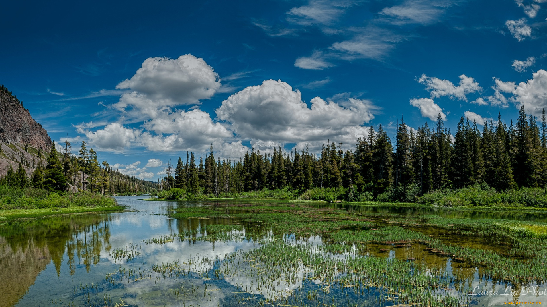 природа, реки, озера, горы, лес, река