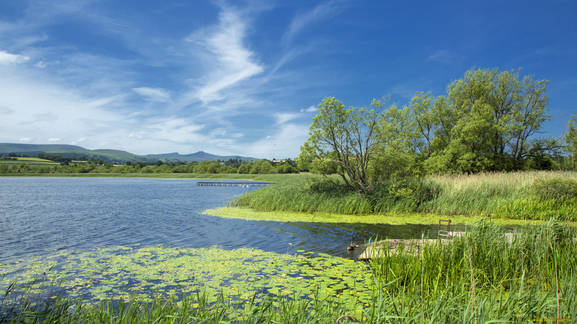 природа, реки, озера, лес, холмы