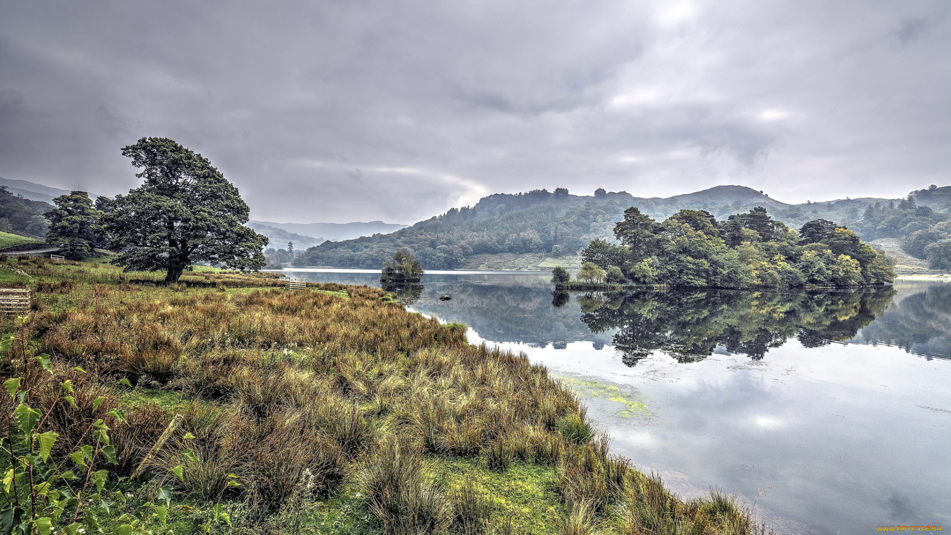 природа, реки, озера, лес, река