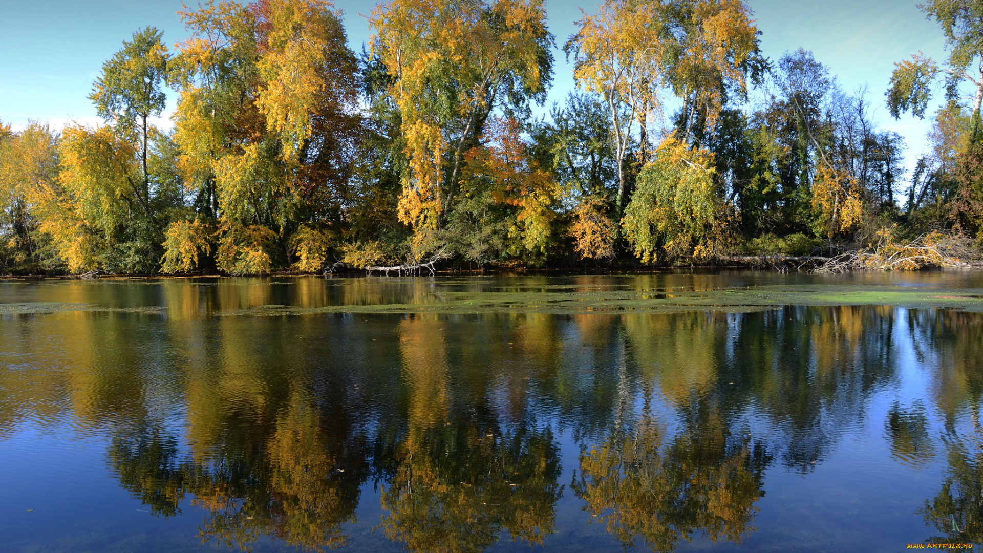 природа, реки, озера, лес, река