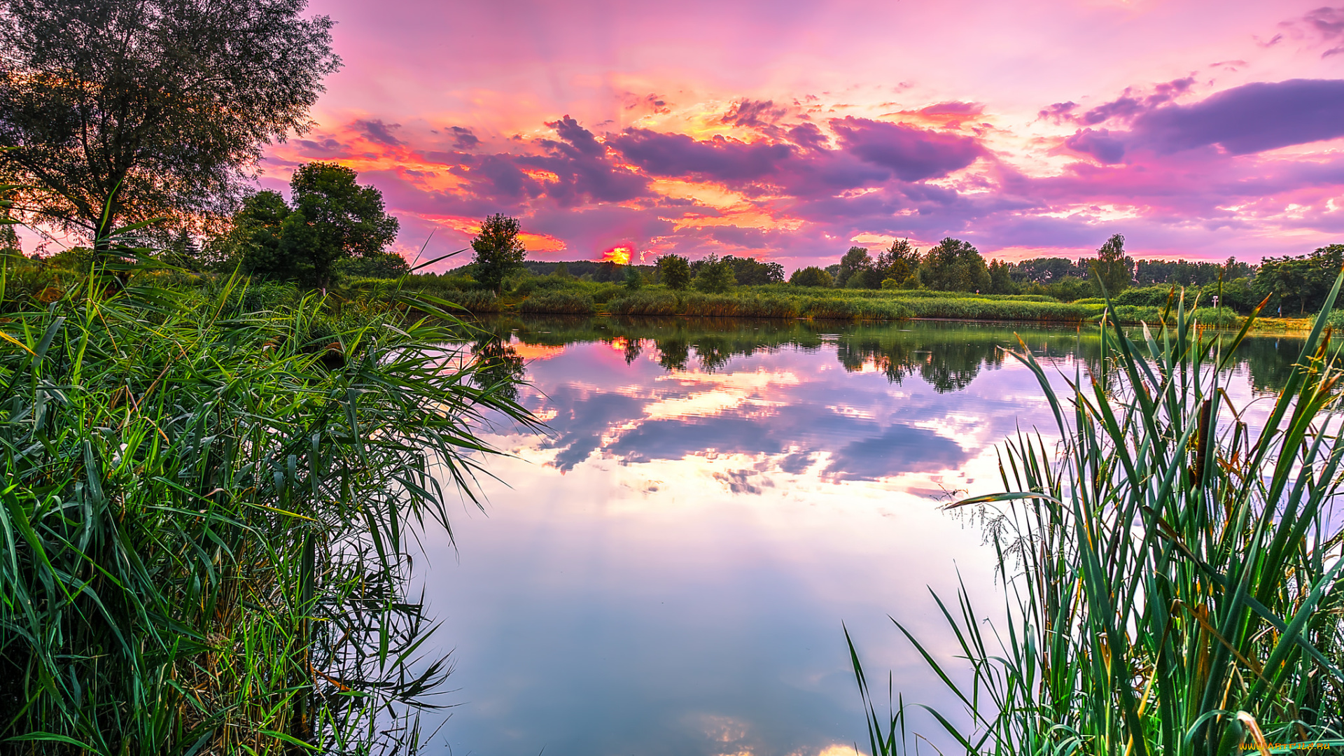 природа, реки, озера, лес, река