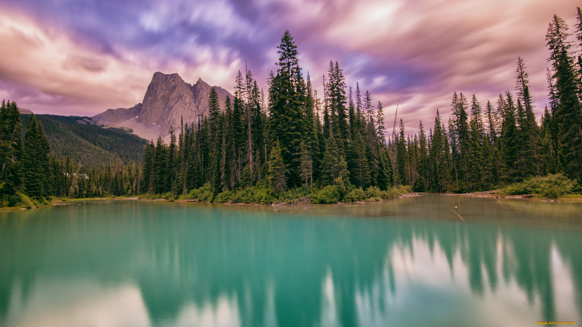 природа, реки, озера, лес, река