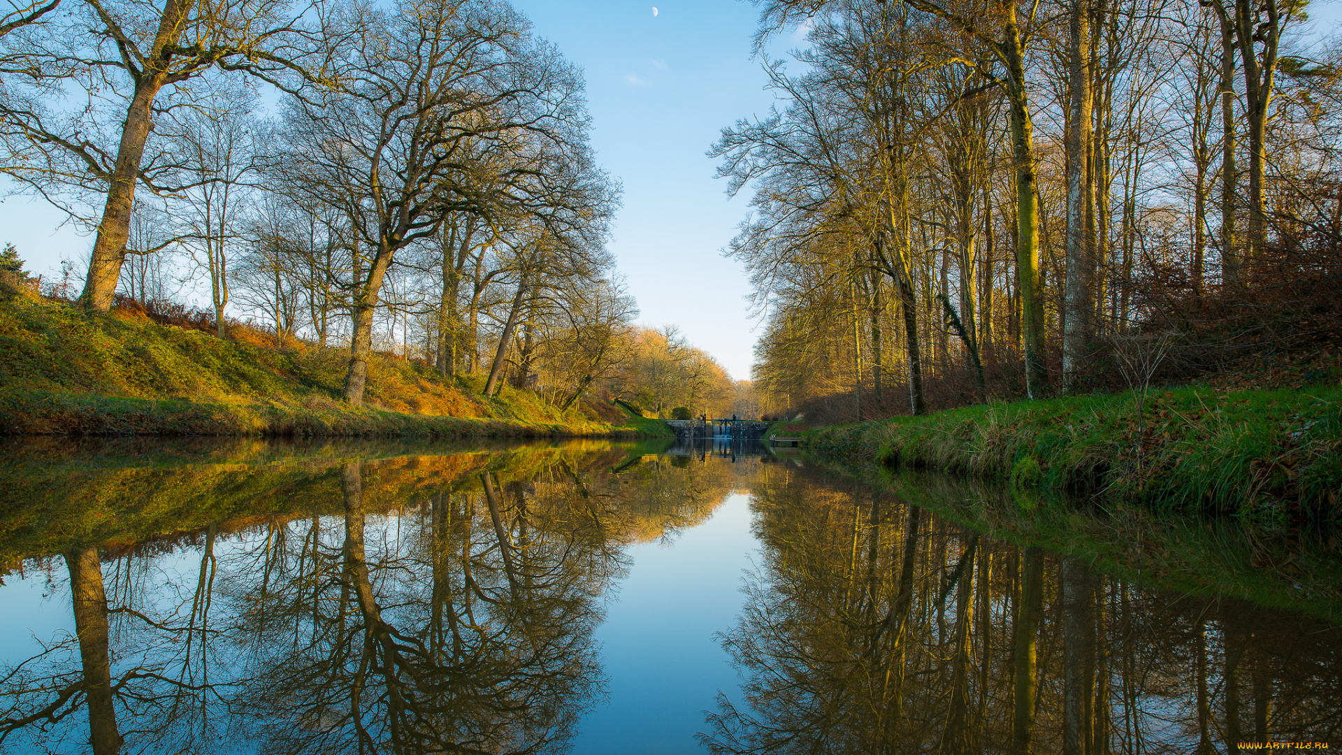 природа, реки, озера, лес, река