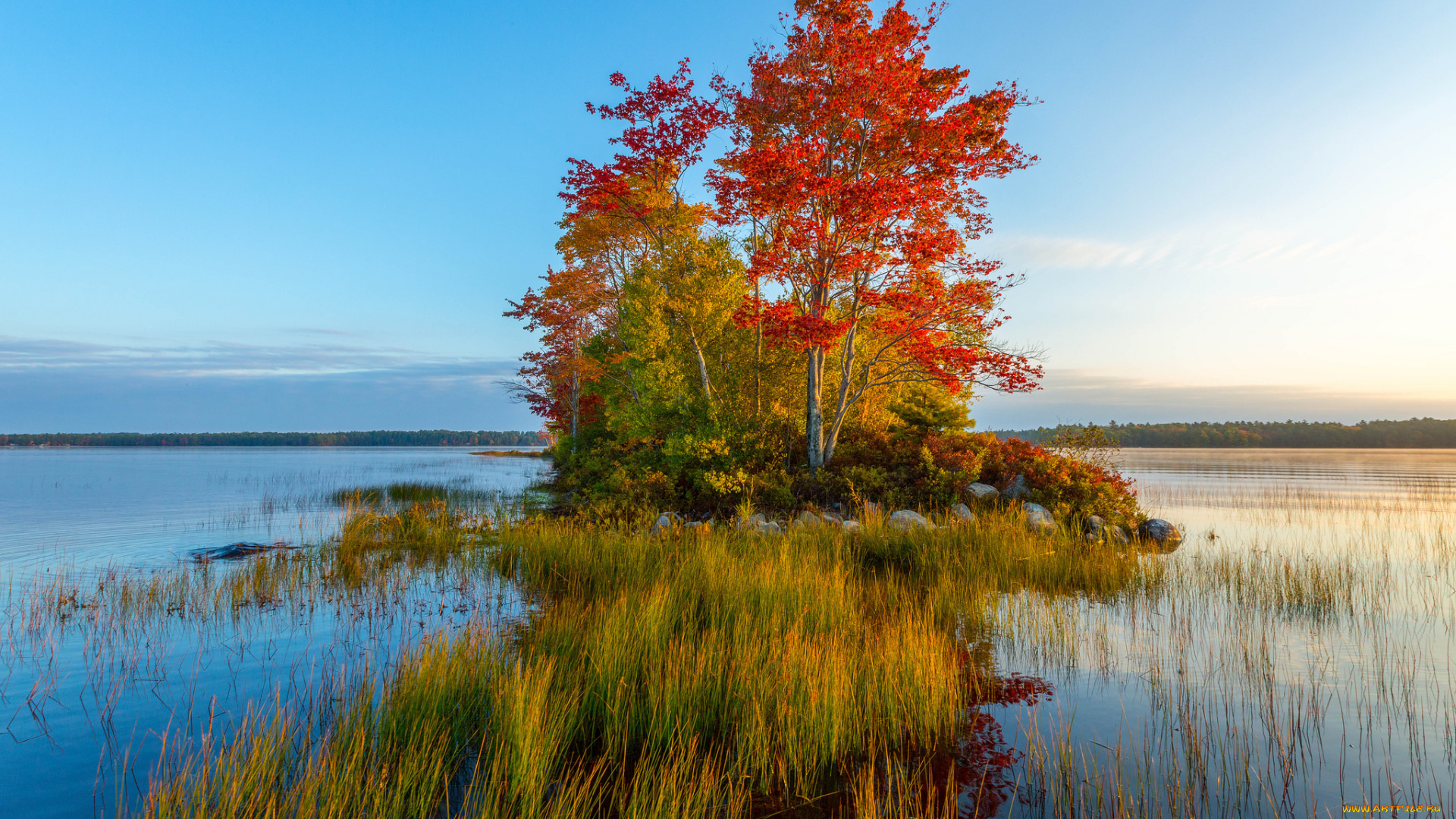 природа, реки, озера, островок, река, осень, лес