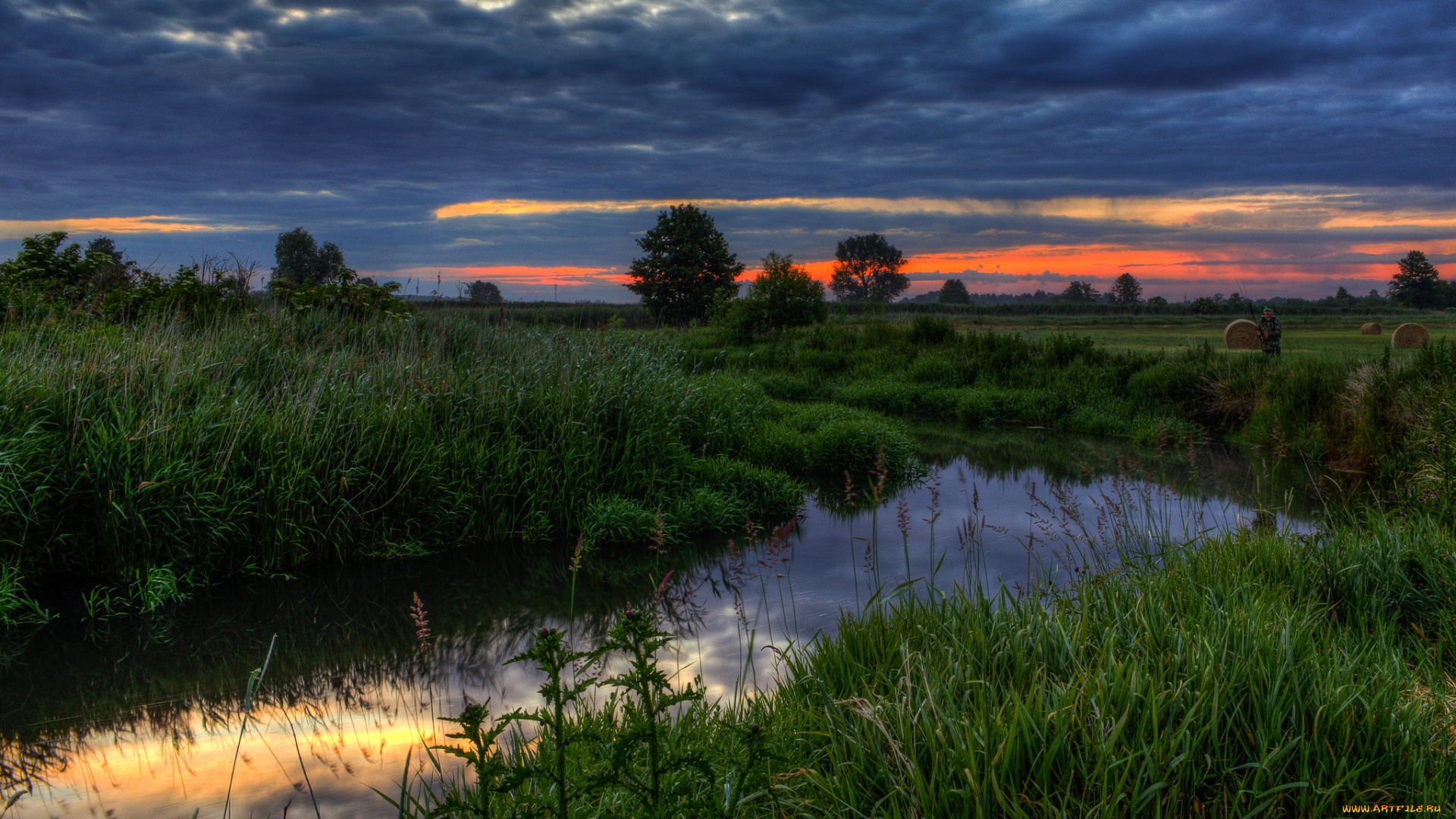 природа, реки, озера, поле, река