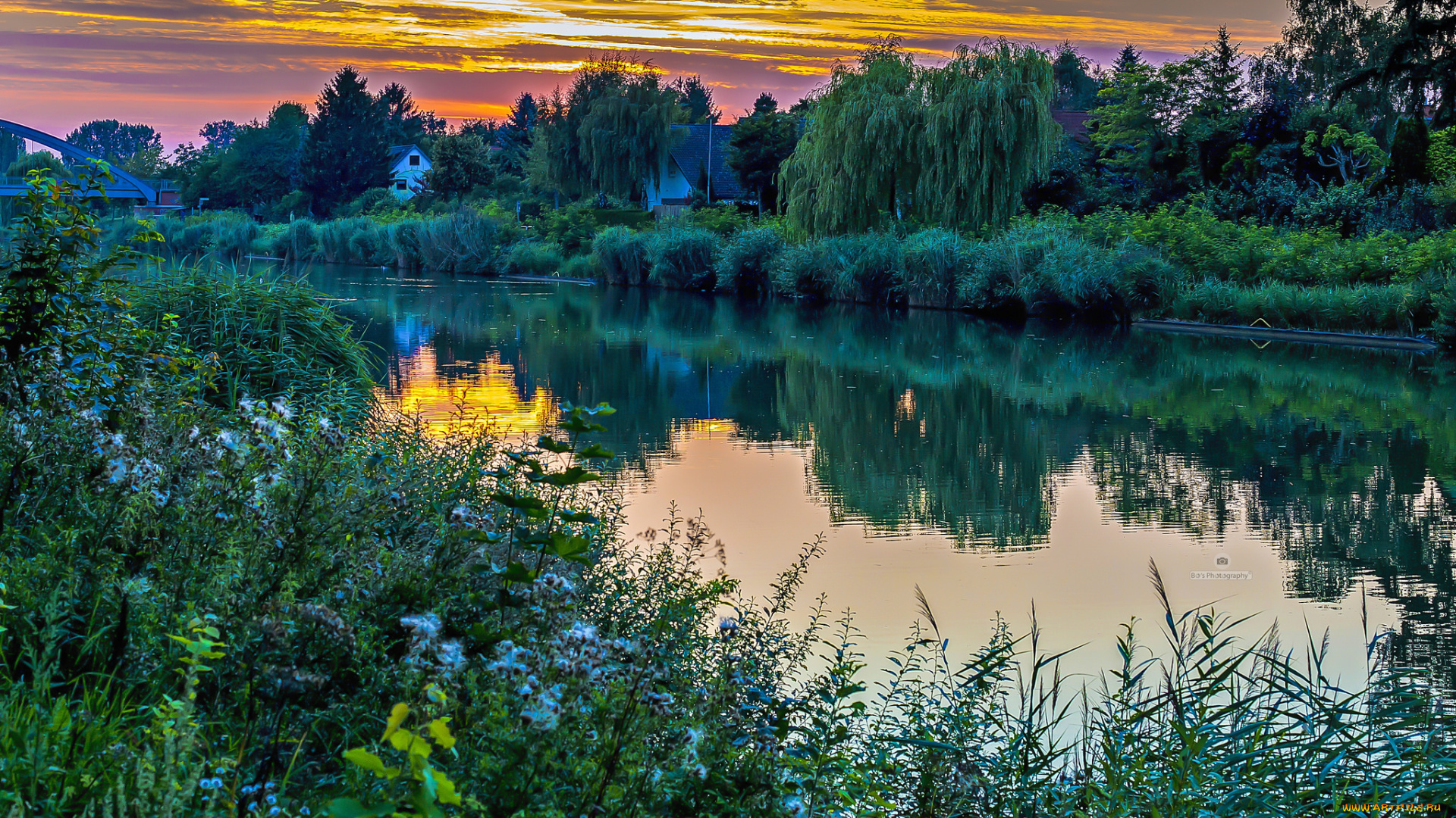 природа, реки, озера, река, лес