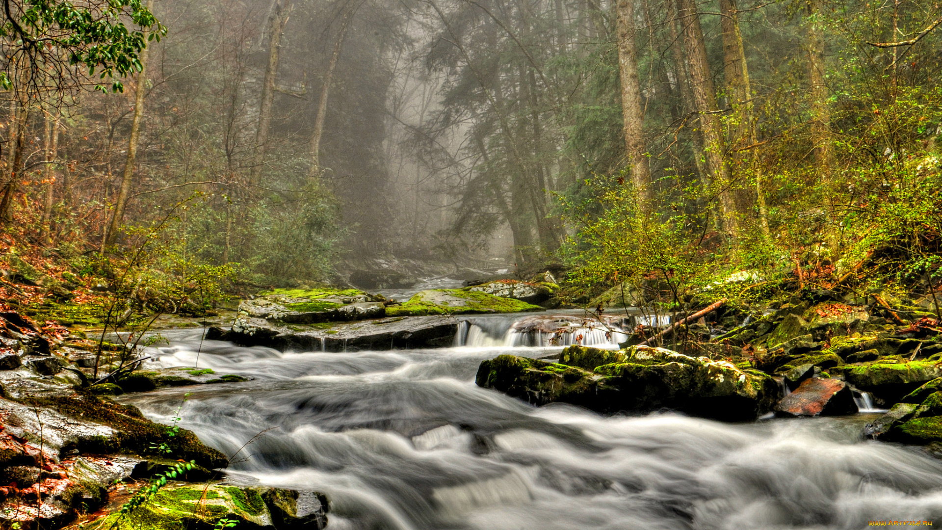 природа, реки, озера, река, лес