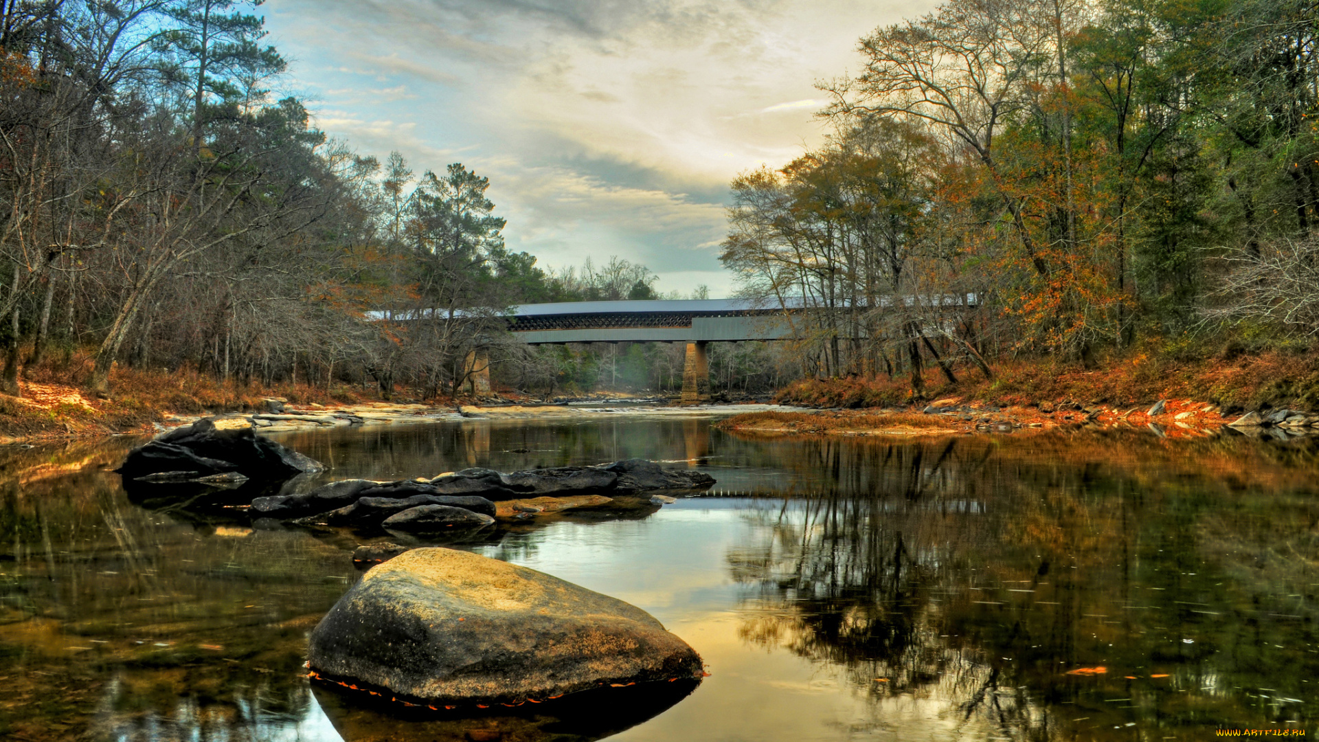 природа, реки, озера, река, лес