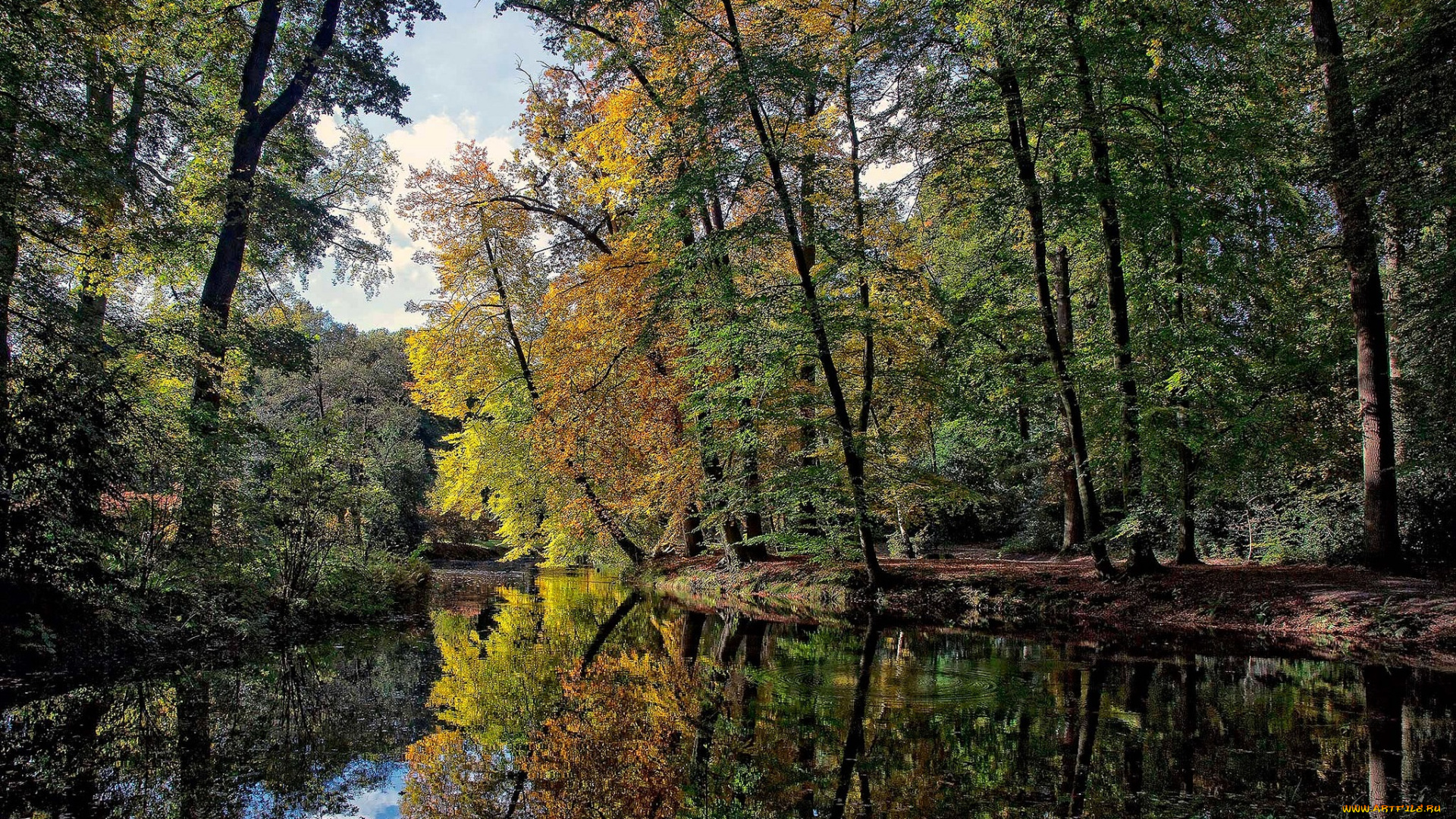 природа, реки, озера, река, лес