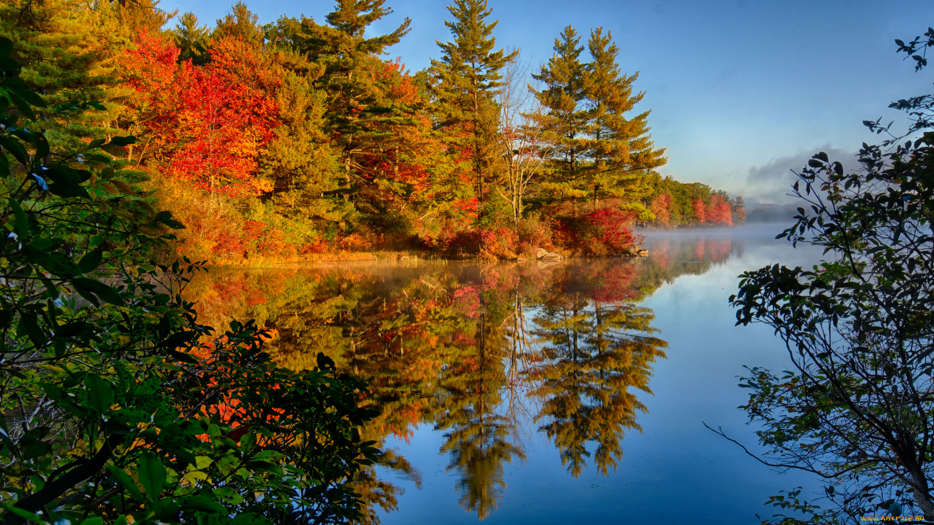 природа, реки, озера, река, лес