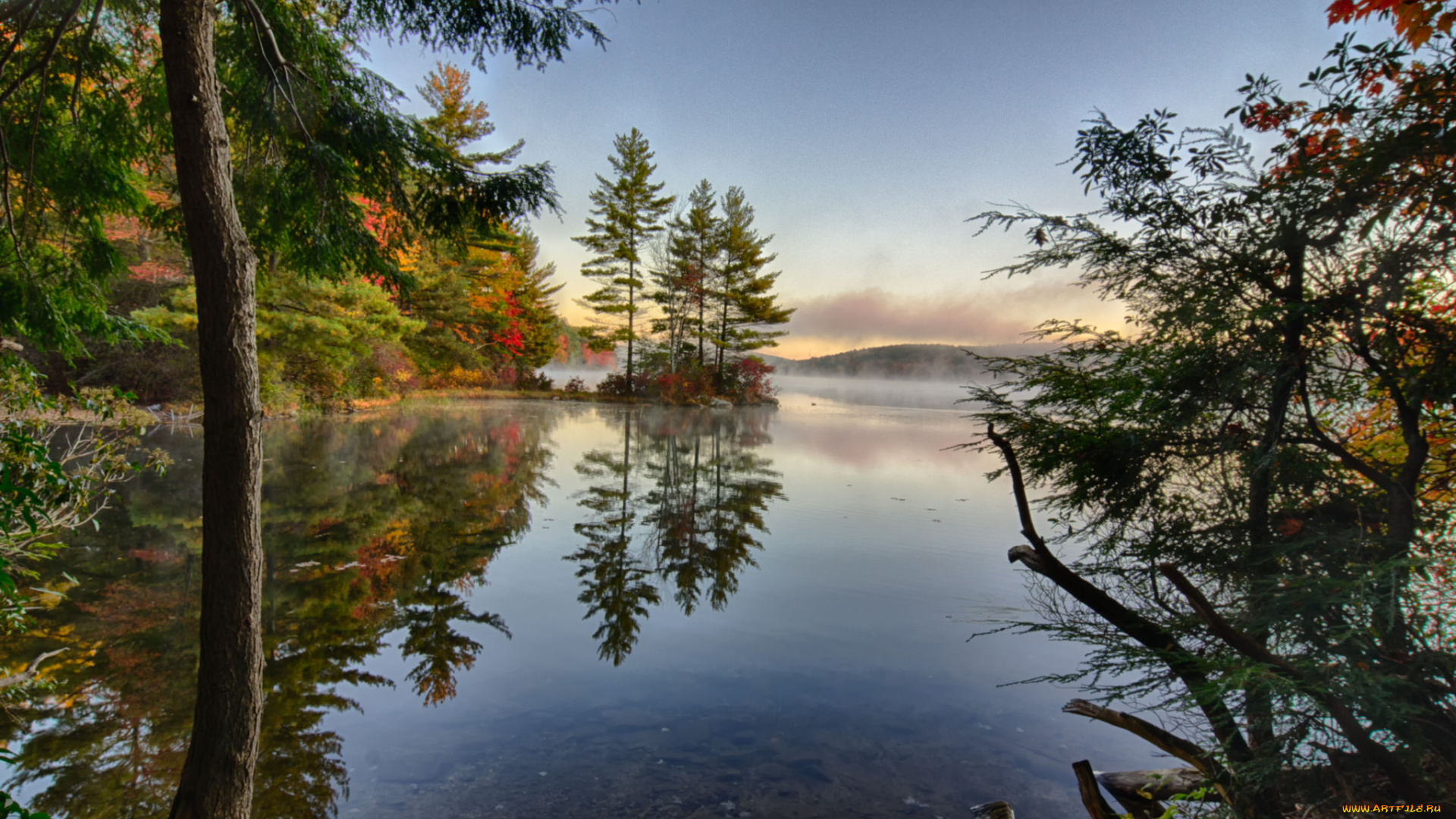 природа, реки, озера, река, лес