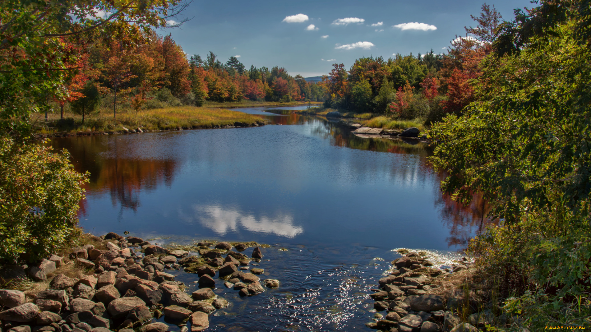 природа, реки, озера, река, лес