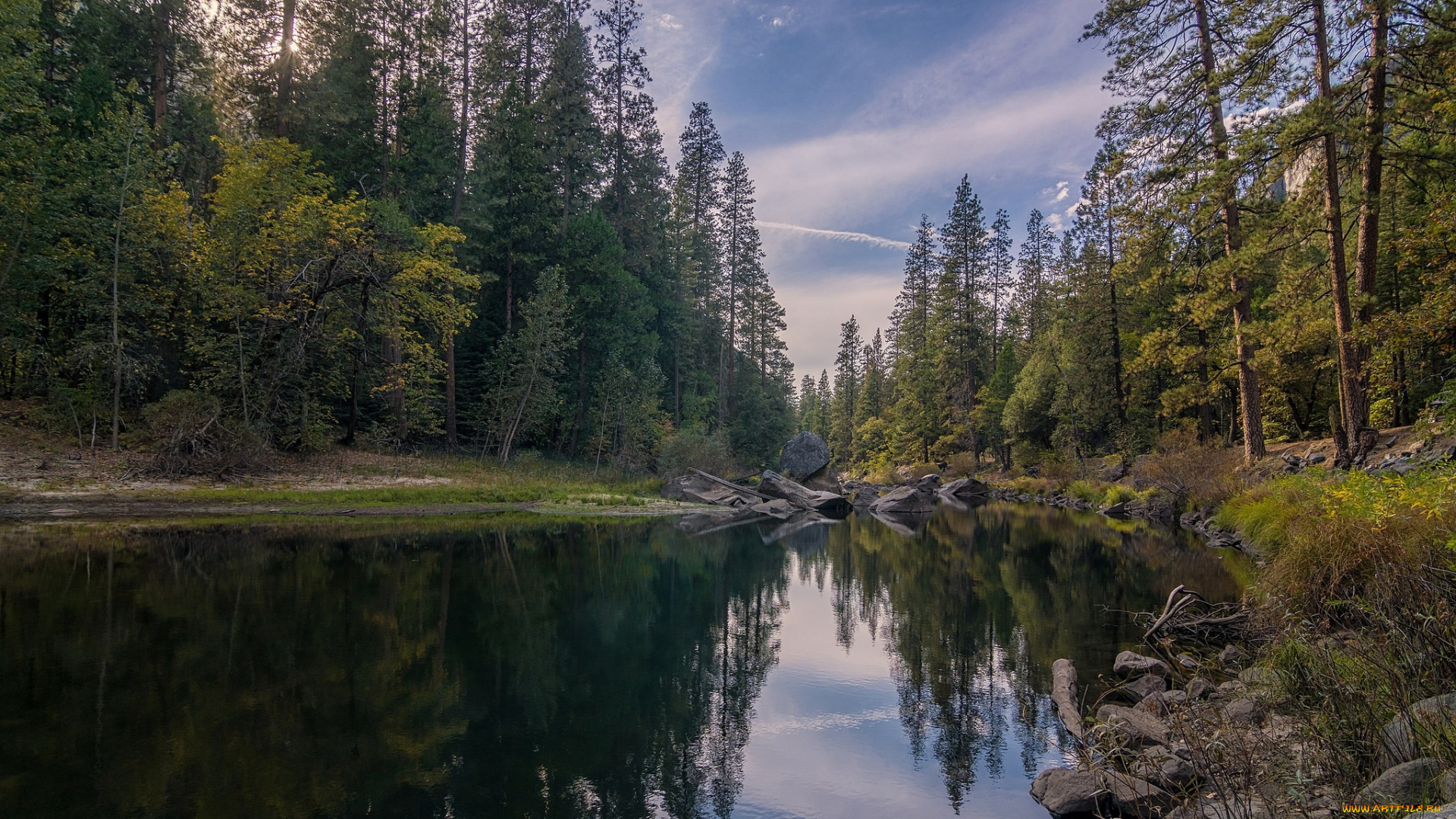 природа, реки, озера, река, лес