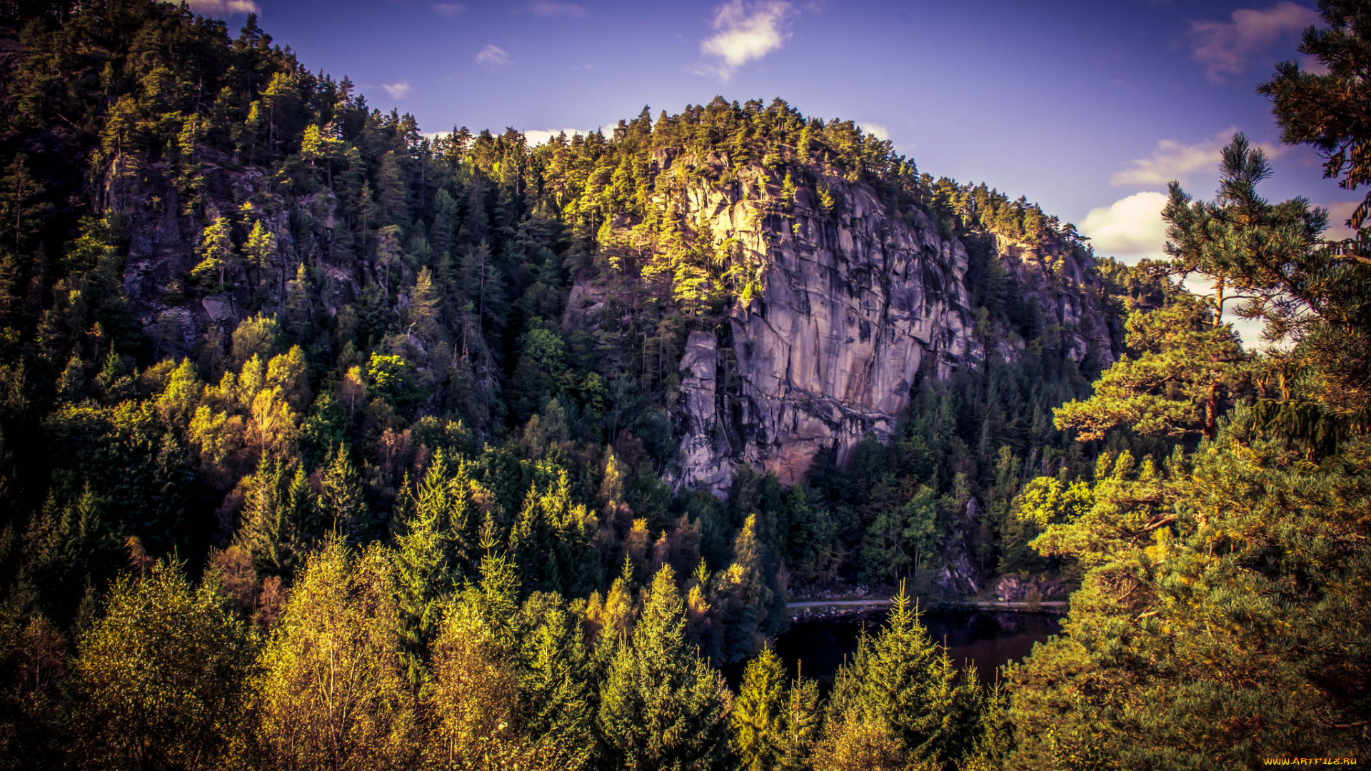 природа, реки, озера, река, лес