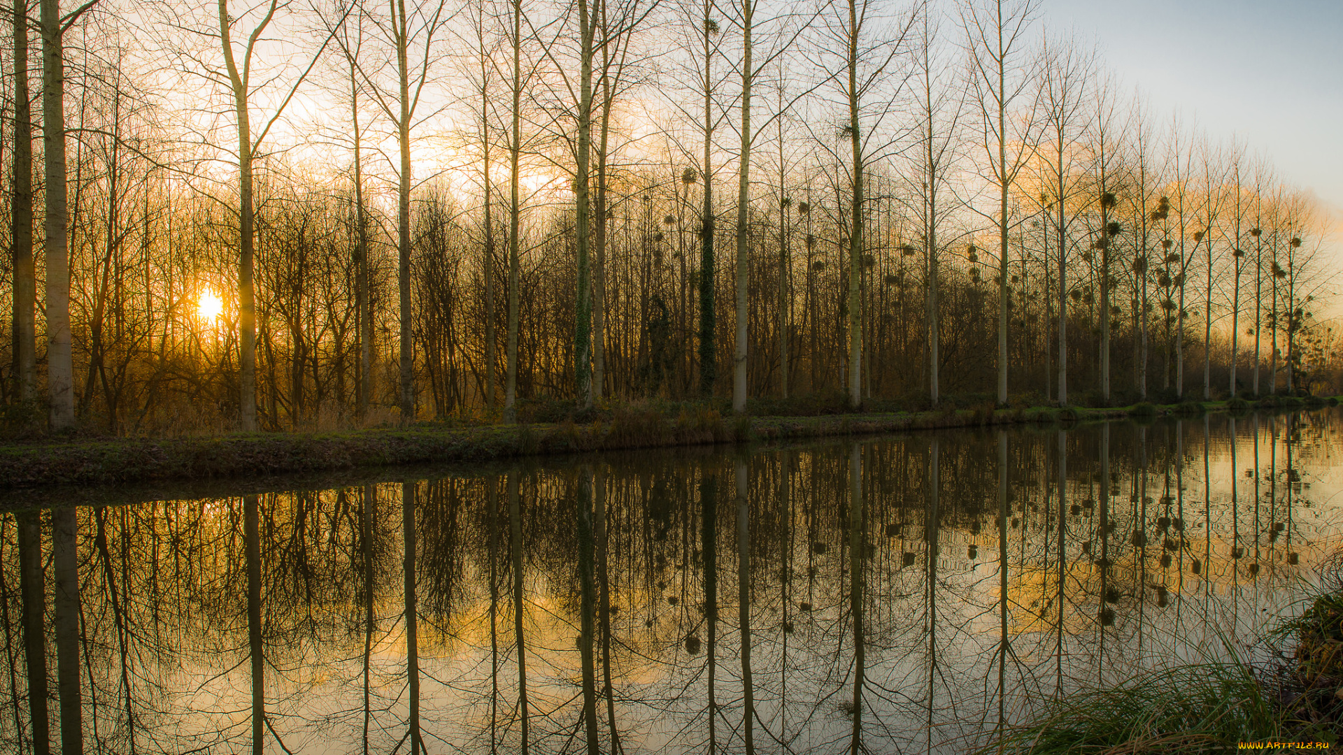 природа, реки, озера, река, лес