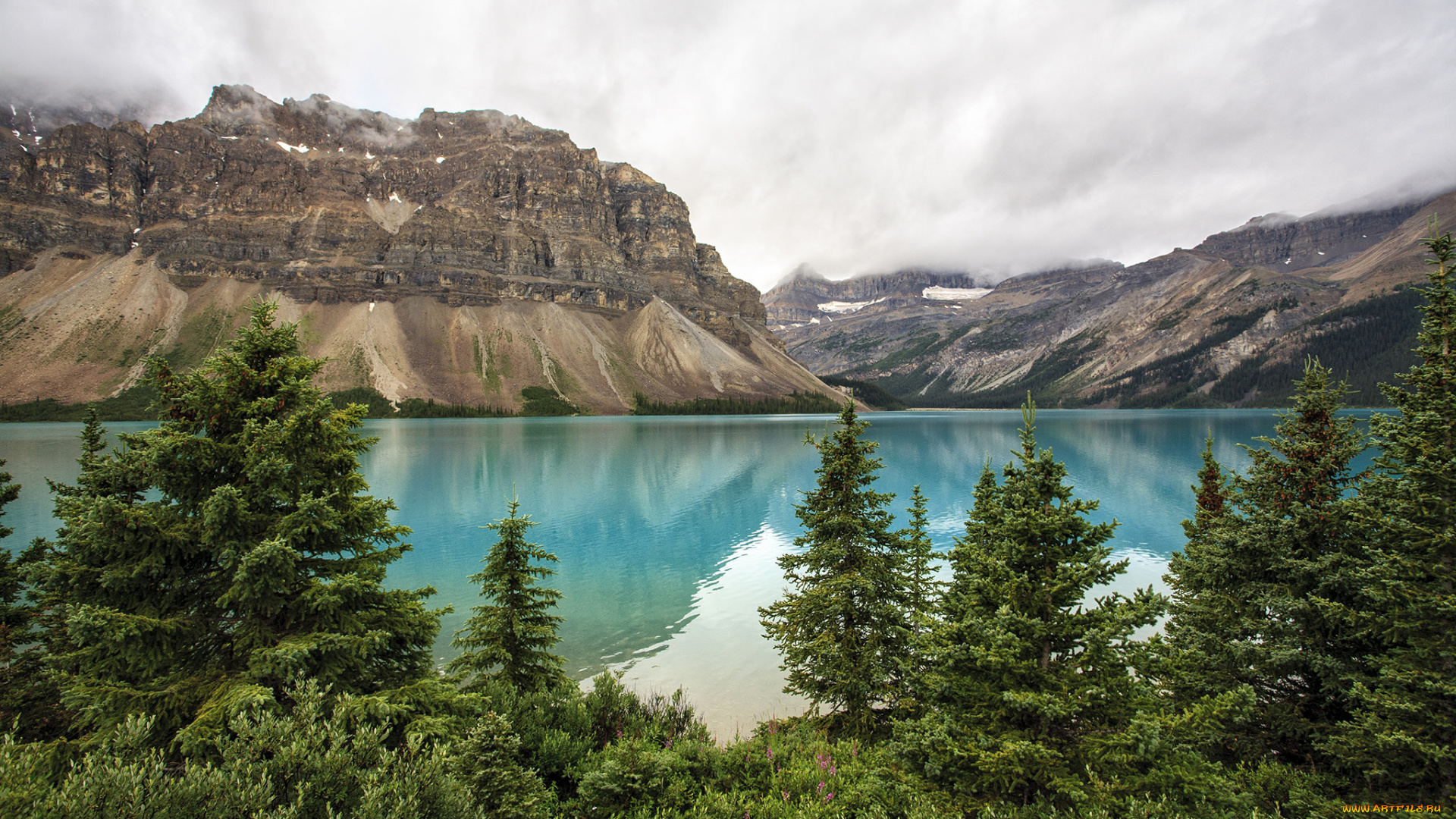 природа, реки, озера, река, лес, горы