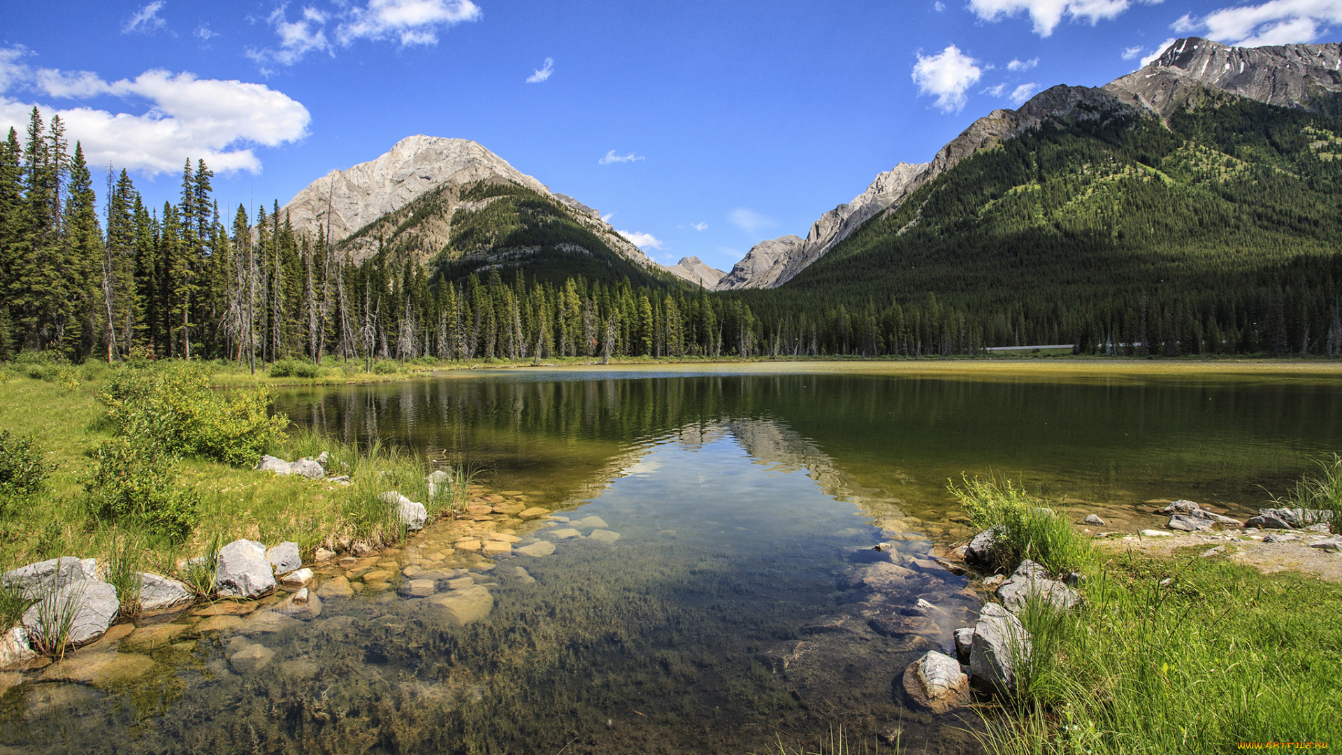 природа, реки, озера, река, лес, горы