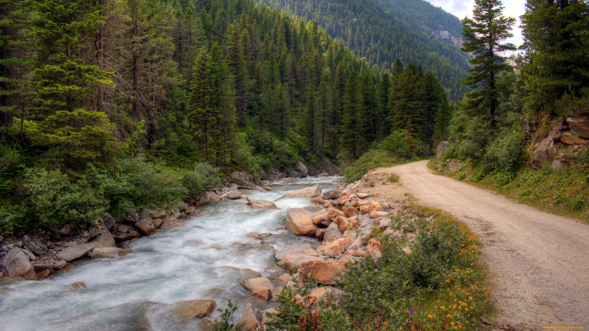 природа, реки, озера, река, лес, горы