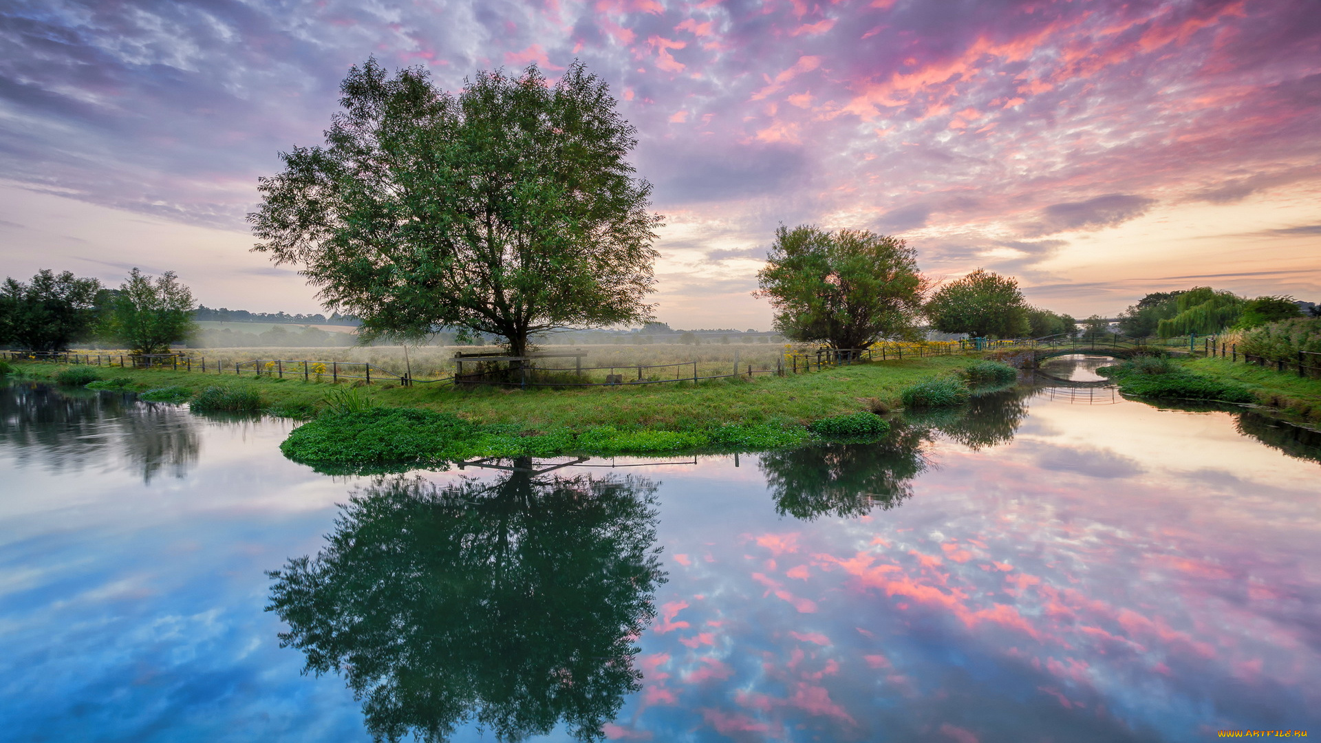 природа, реки, озера, река, мост, деревья, поле, утро, рассвет, лето, облака