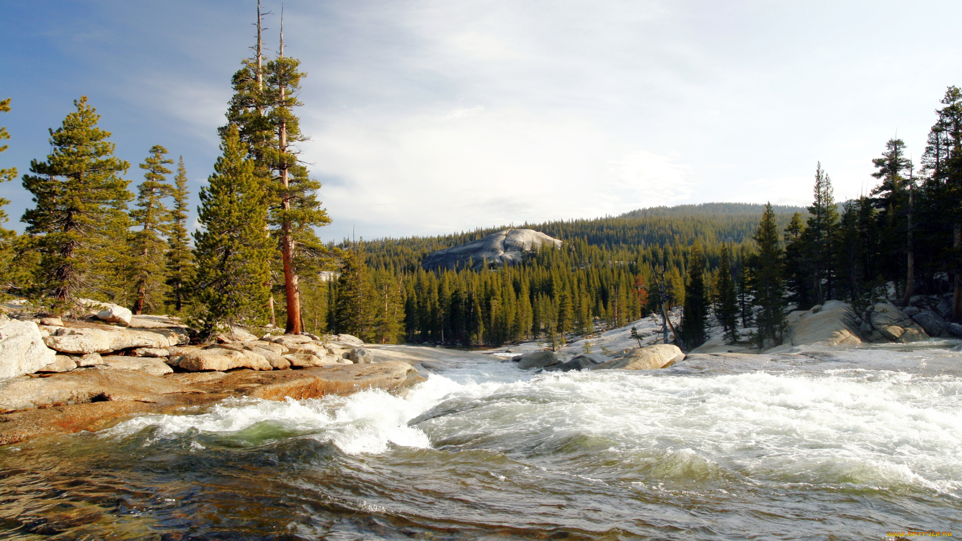 природа, реки, озера, yosemite, national, park, сша, река, камни, берег, бурный, поток, деревья, течение, tuolumne, лес, калифорния, национальный, парк, йосемити