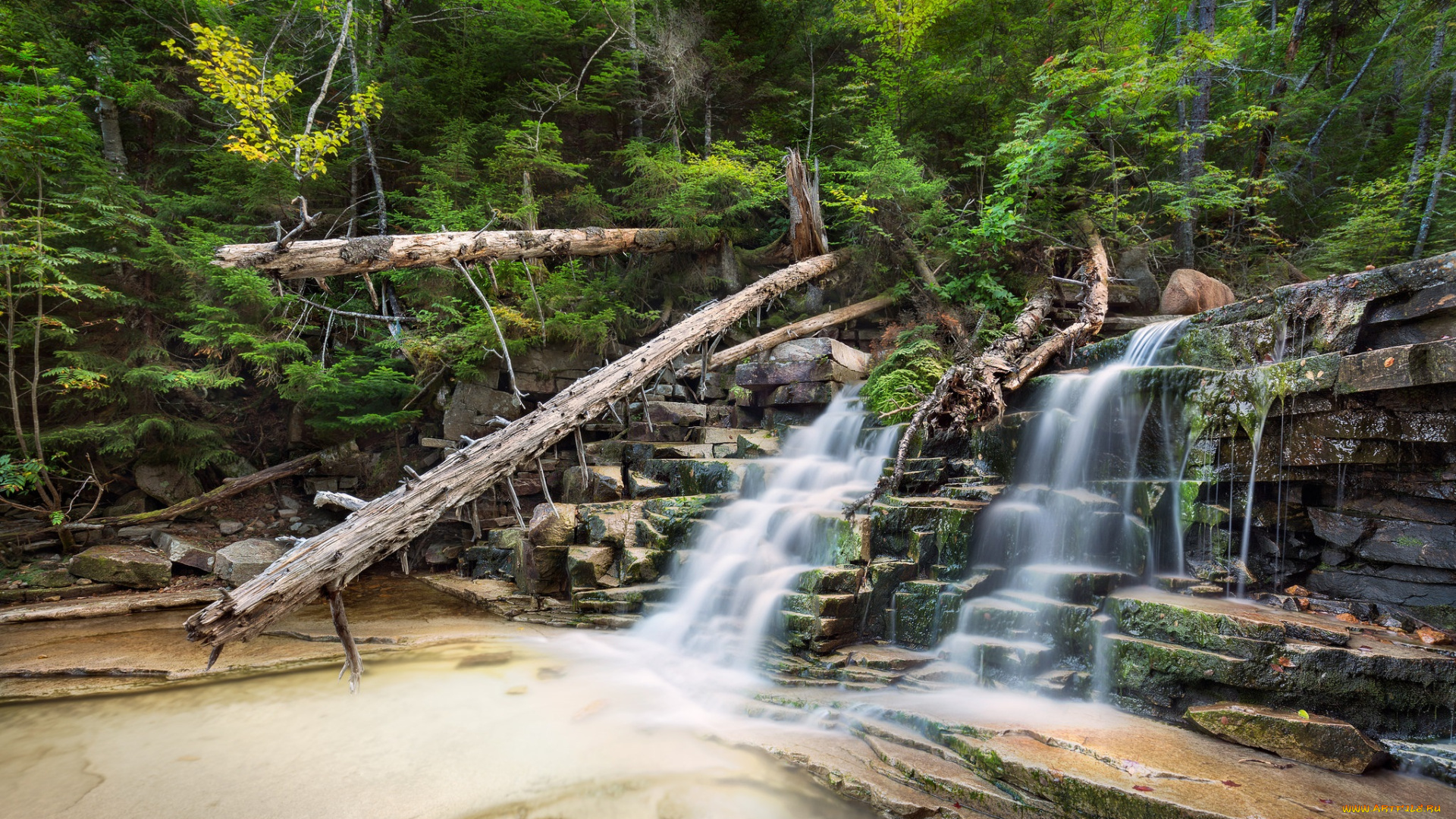 природа, водопады, лес, река, водопад