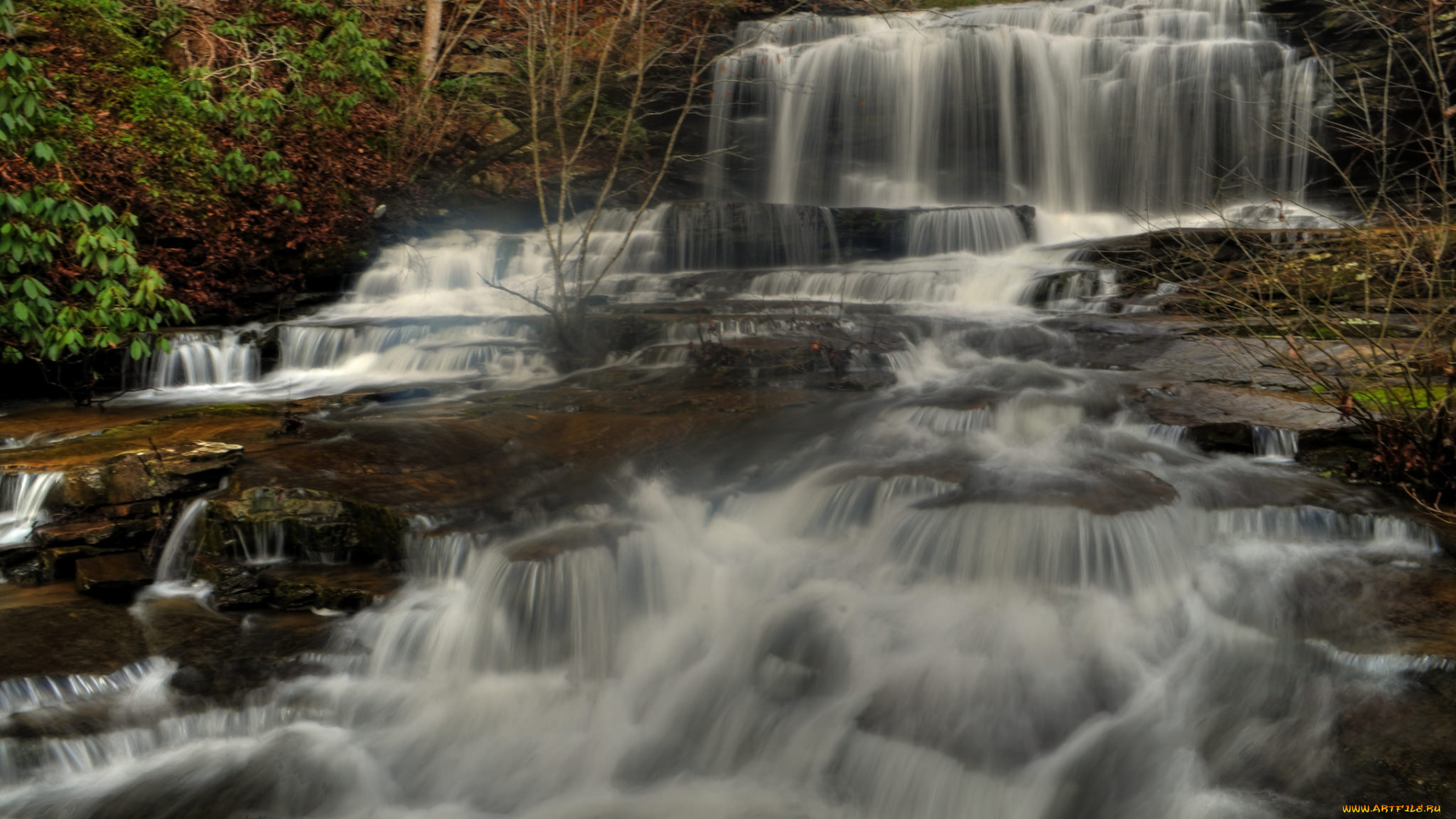 природа, водопады, лес, водопад, река