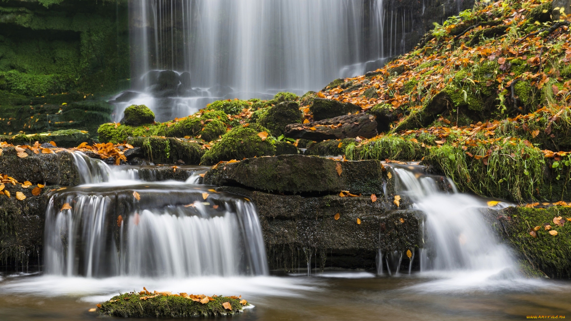 природа, водопады, водопад, сетл, yorkshire, dales, national, park, йоркшир-дейлс, англия, северный, йоркшир, england, north, settle, осень, листья, мох, камни, scaleber, force