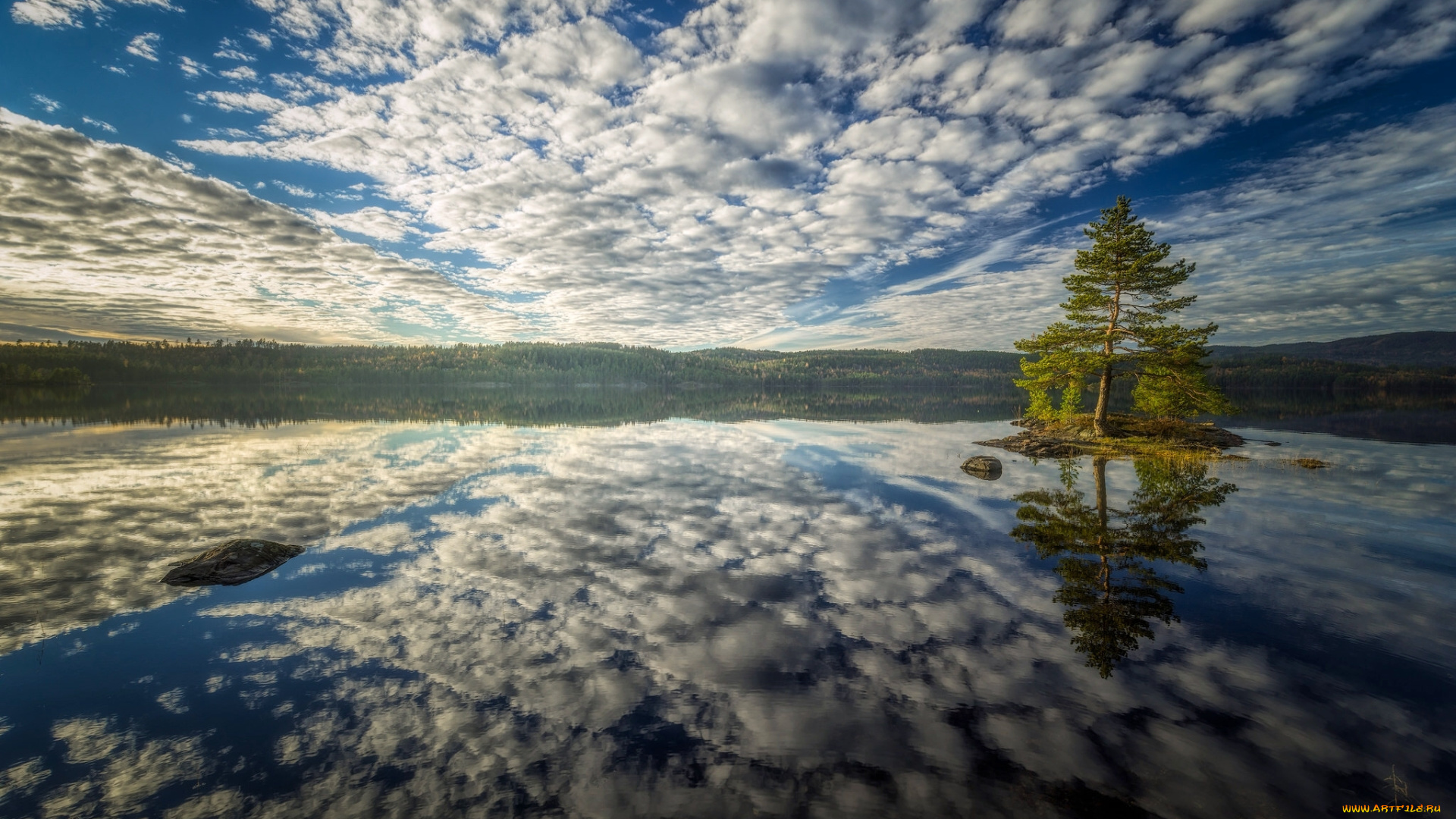 природа, восходы, закаты, отражение, сосна, дерево, островок, небо, облака, вода, залив
