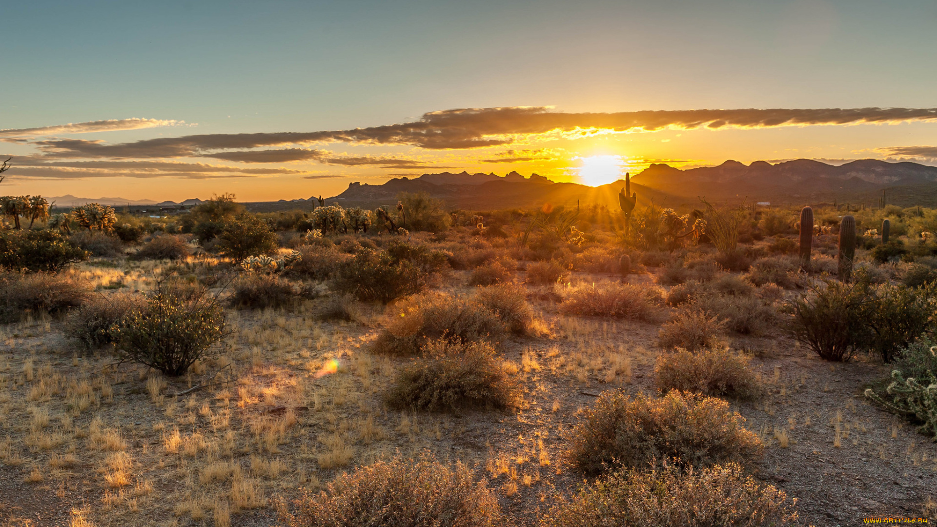 природа, восходы, закаты, рассвет