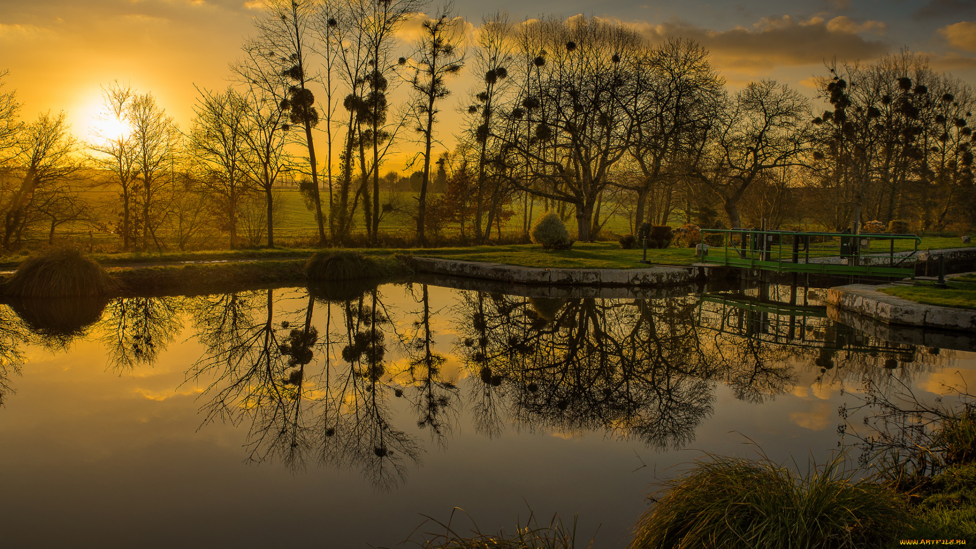 природа, восходы, закаты, река, лес