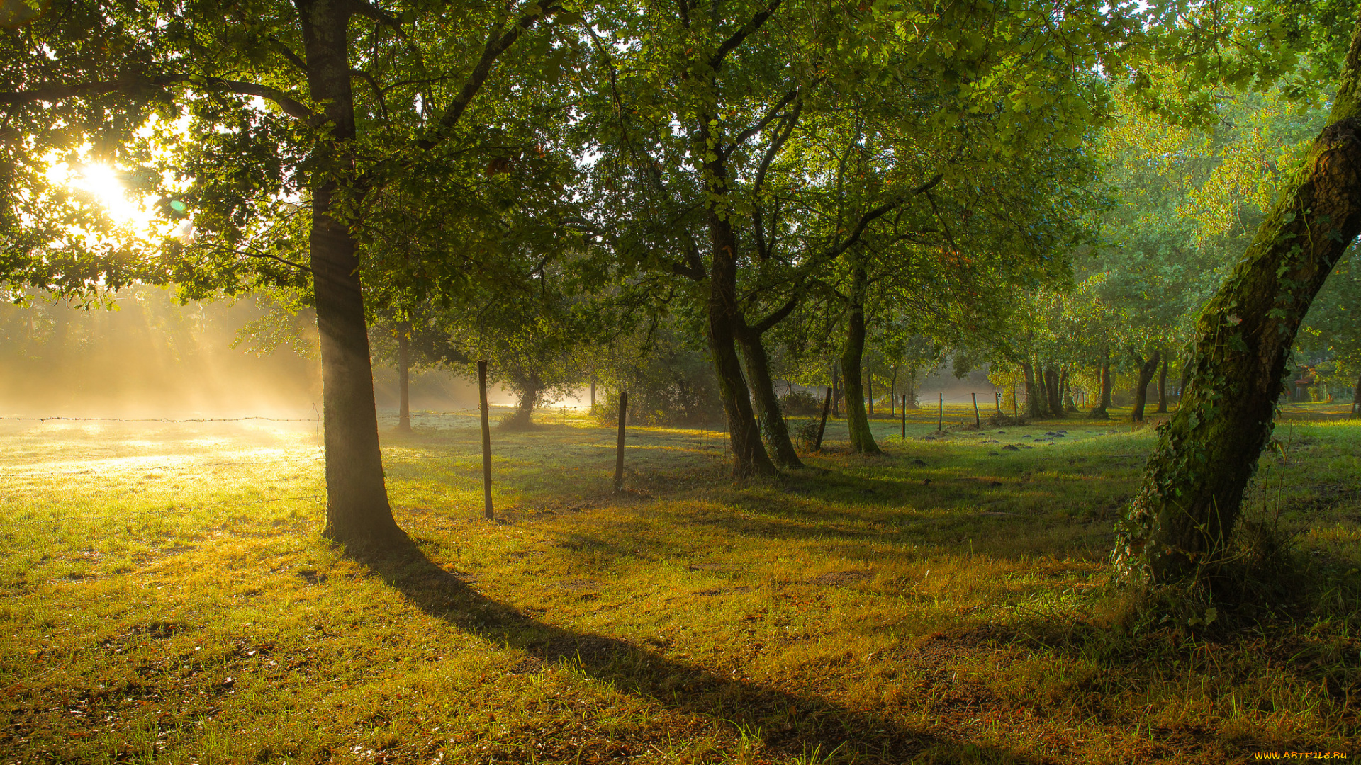природа, восходы, закаты, утро