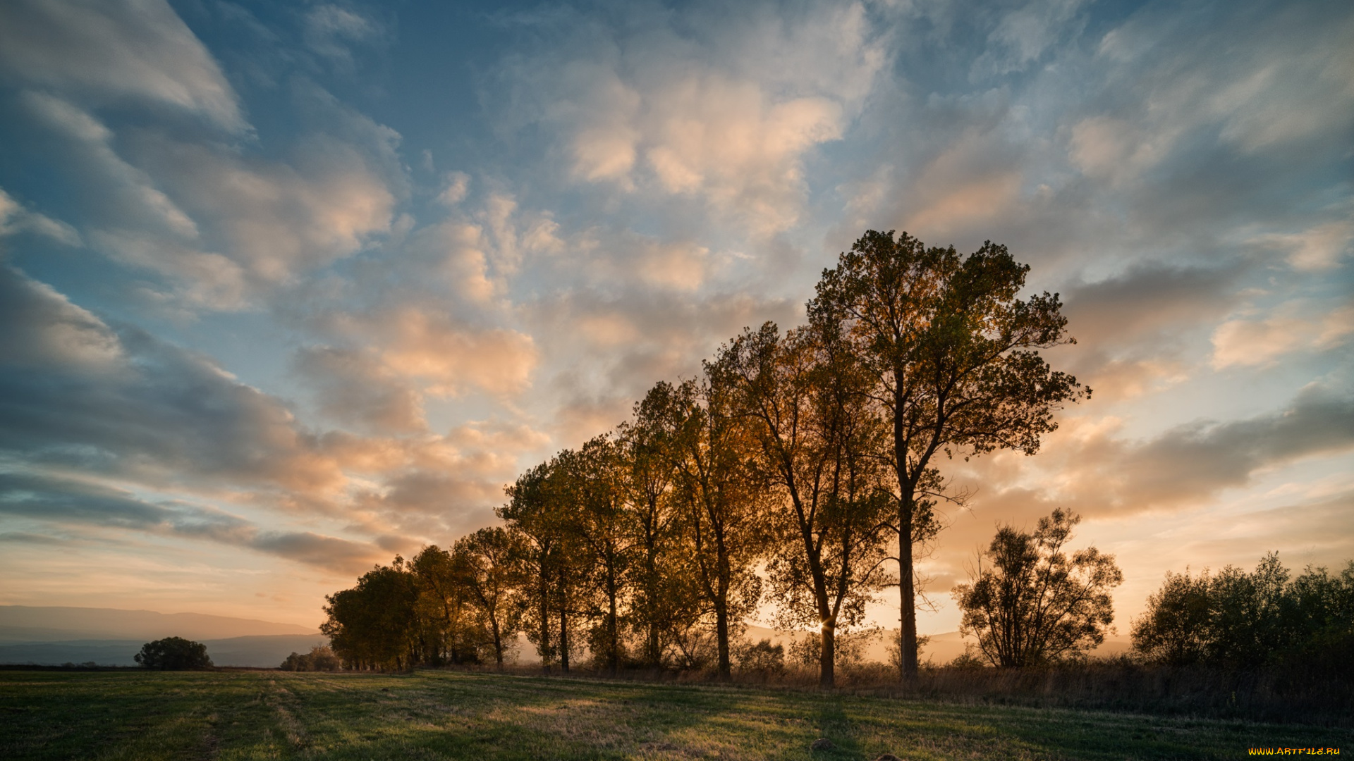 природа, восходы, закаты, утро, поле, деревья
