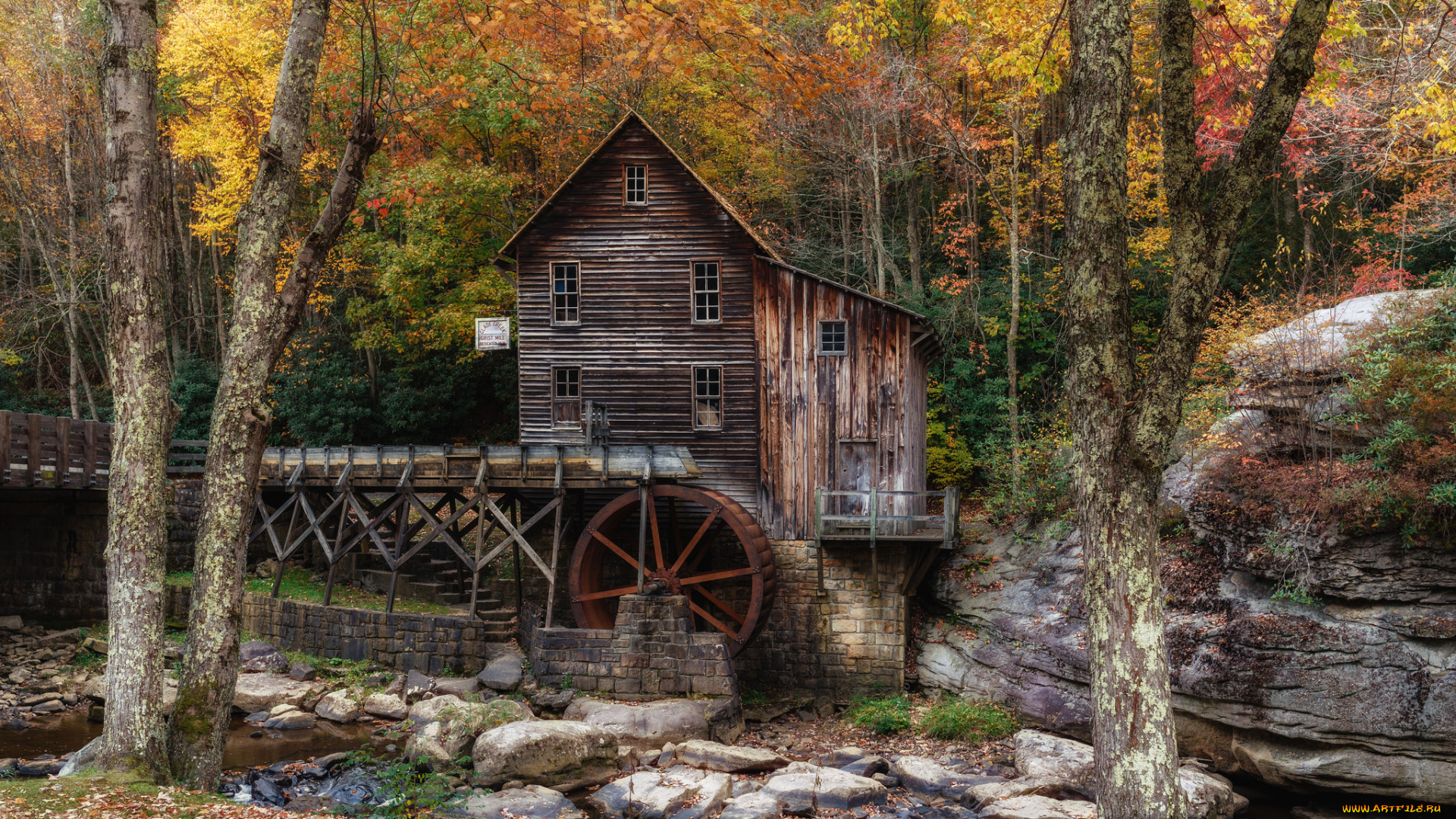 разное, мельницы, лес, река, мельня