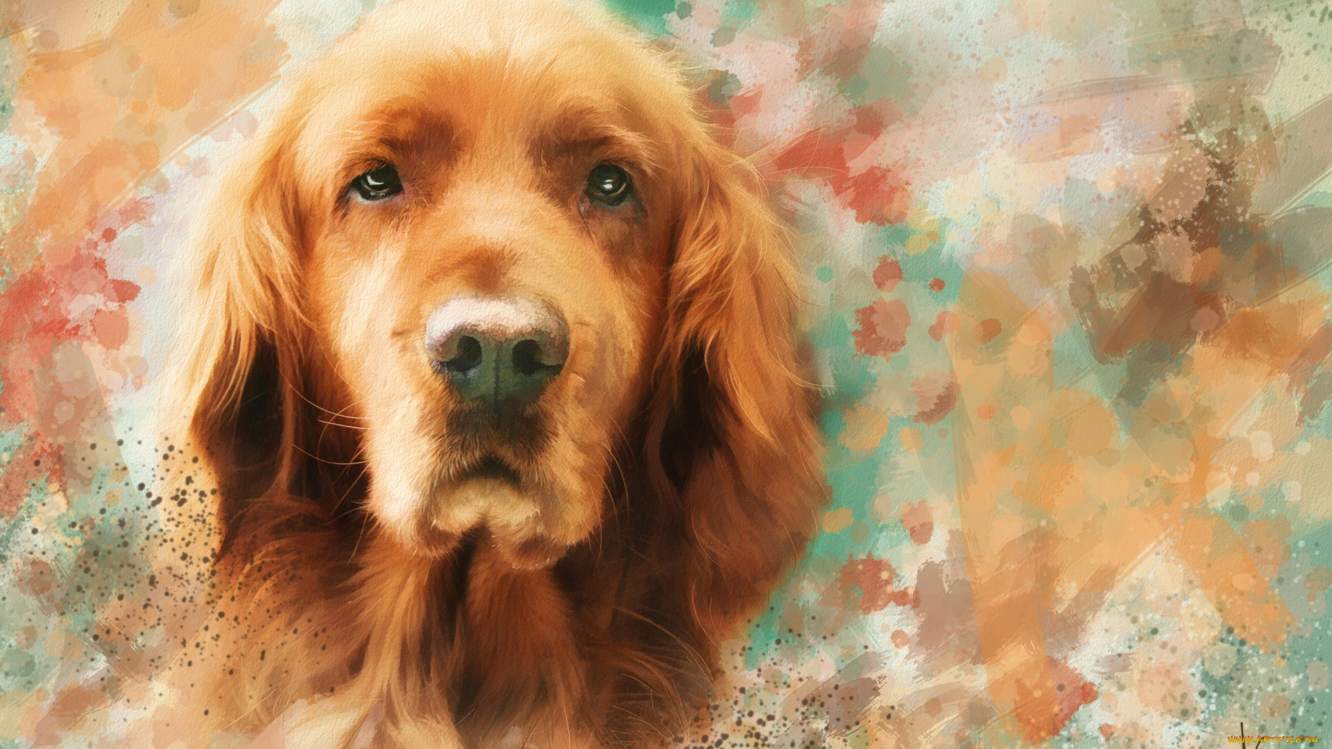 рисованное, животные, , собаки, мазки, рисунок, портрет, морда, рыжая, собака, картина, живопись