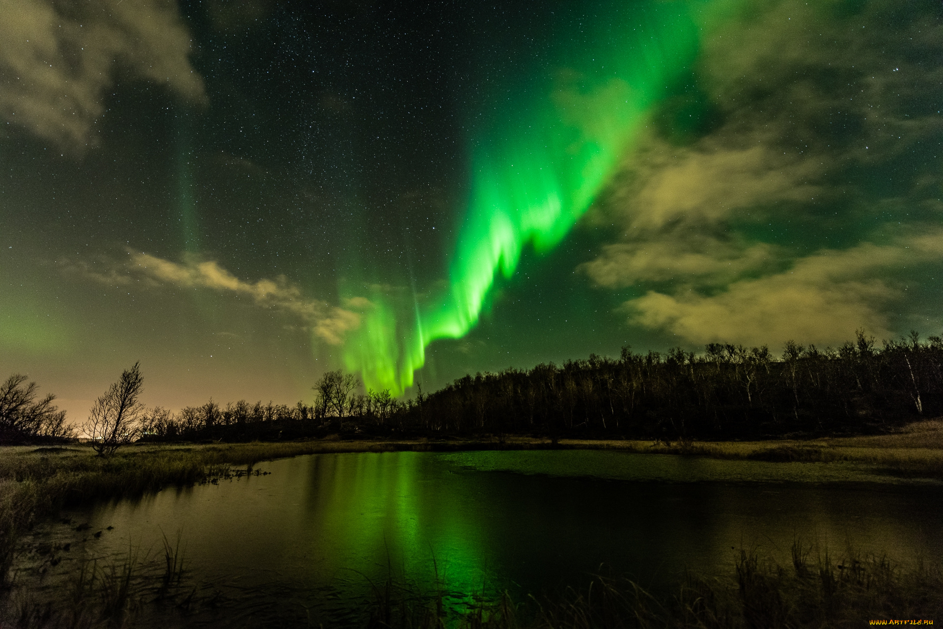 природа, северное, сияние, сполохи
