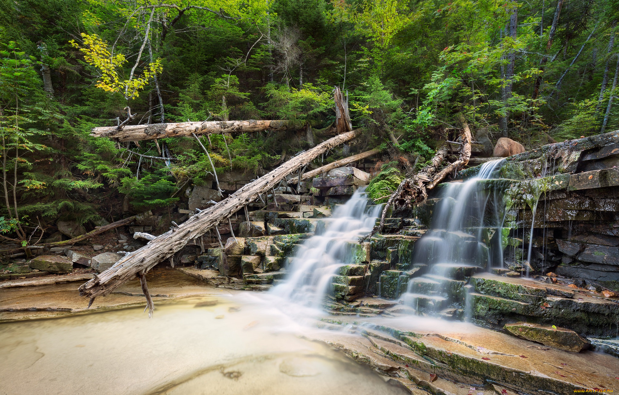 природа, водопады, лес, река, водопад