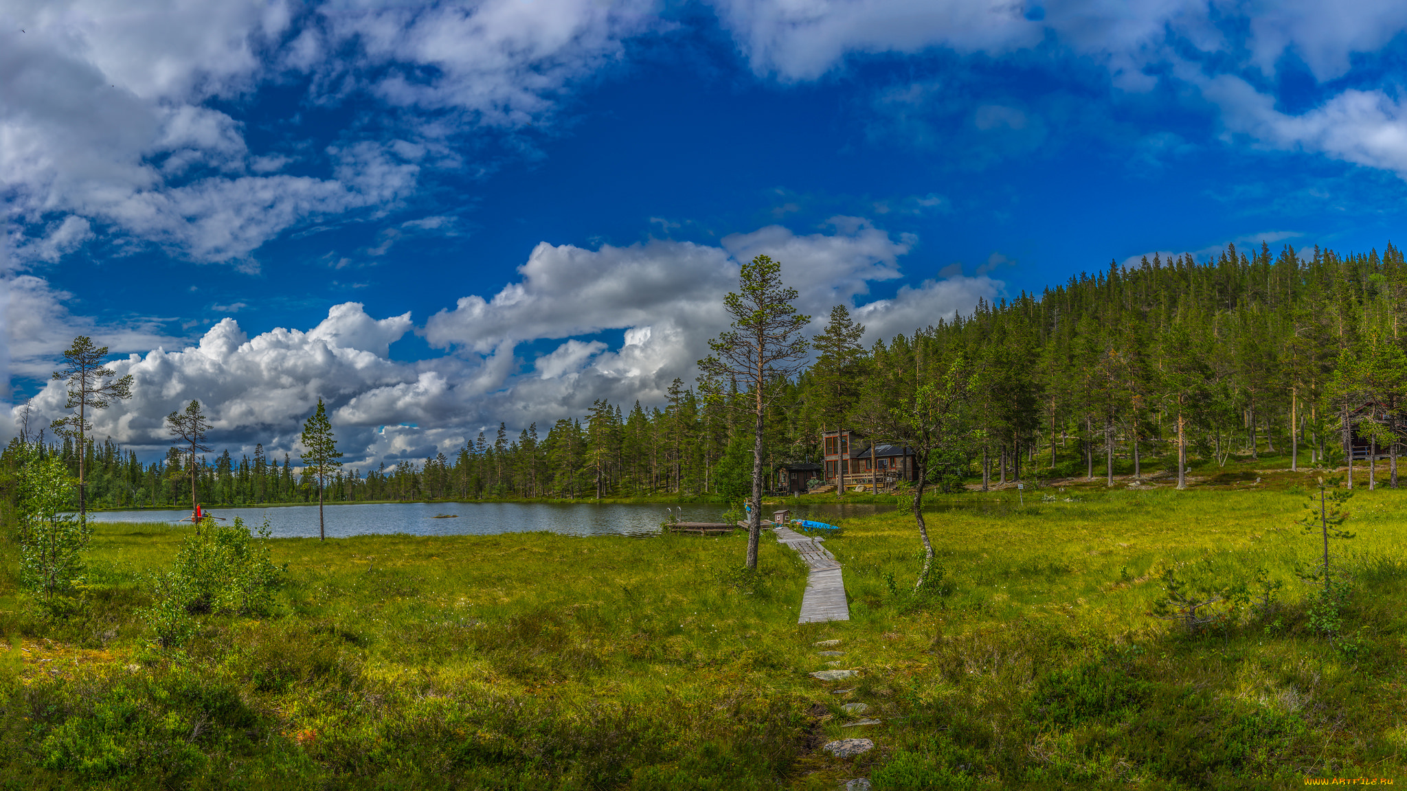 природа, реки, озера, река, лес