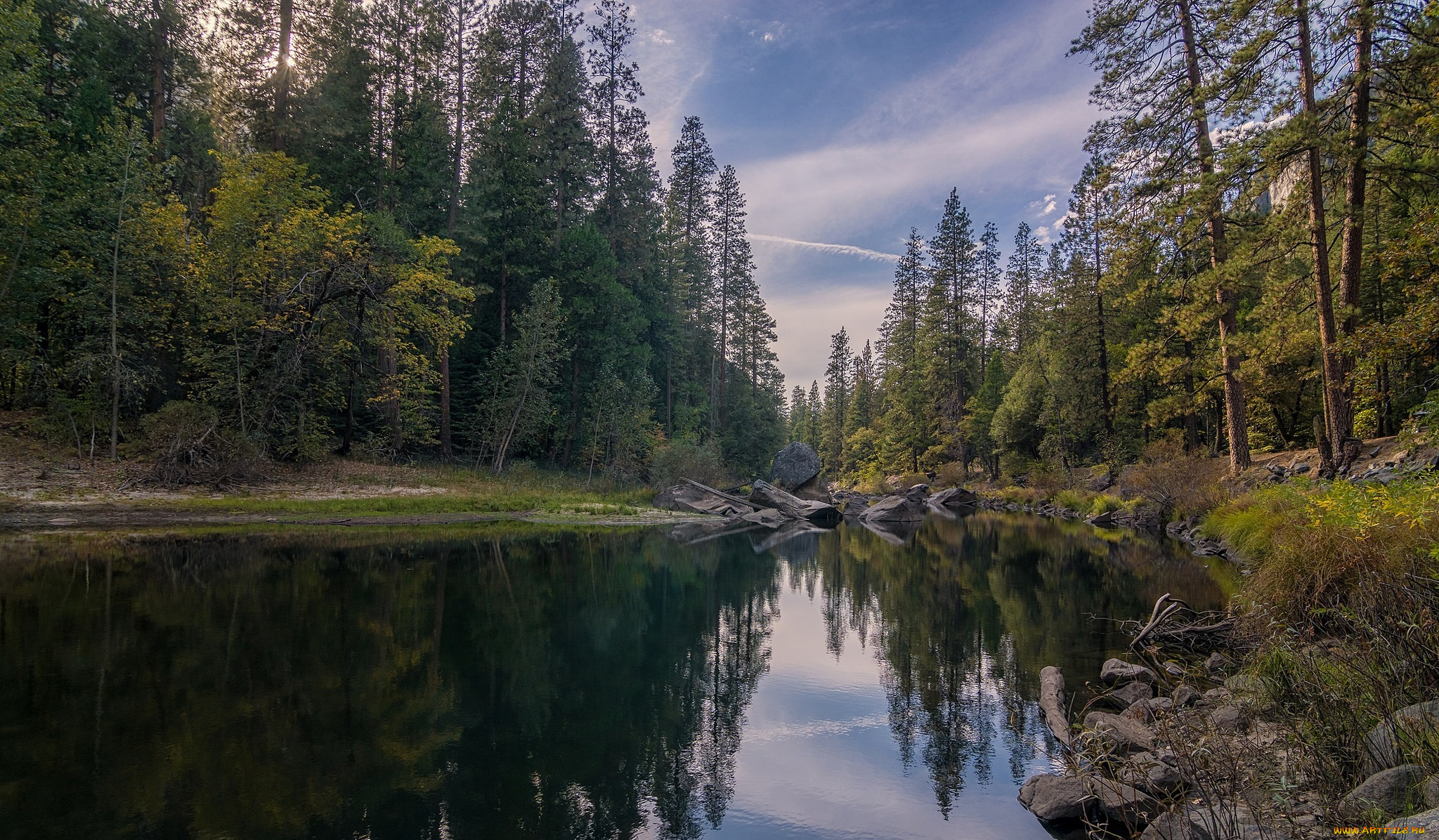 природа, реки, озера, река, лес