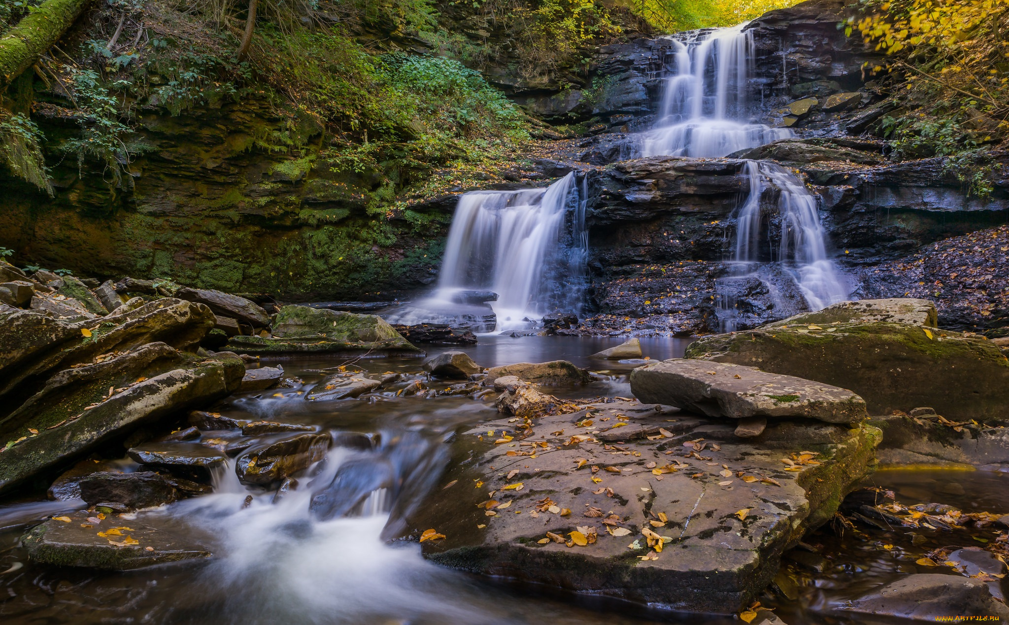 природа, водопады, водопад, река, лес