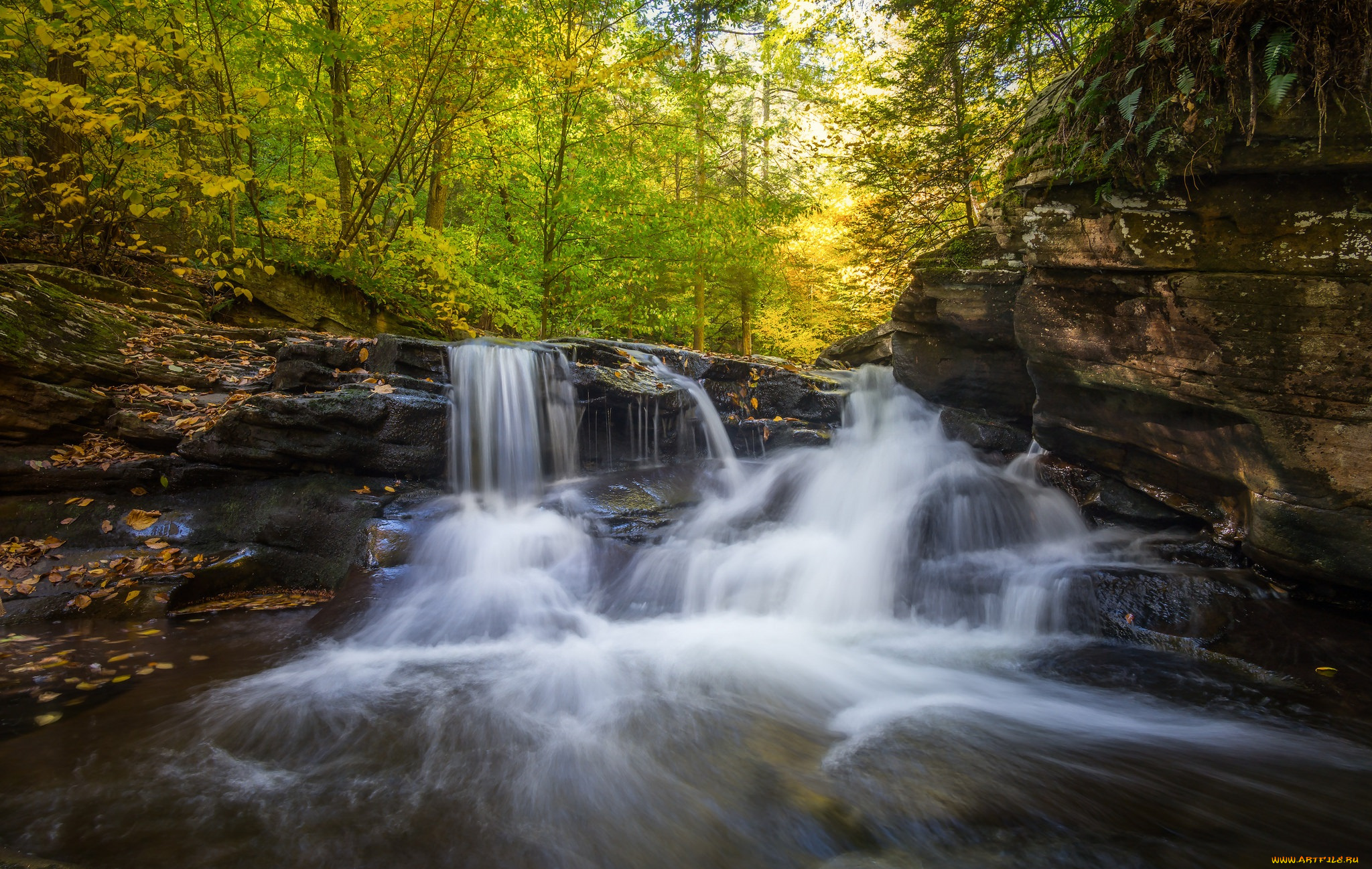 природа, водопады, водопад, река, лес