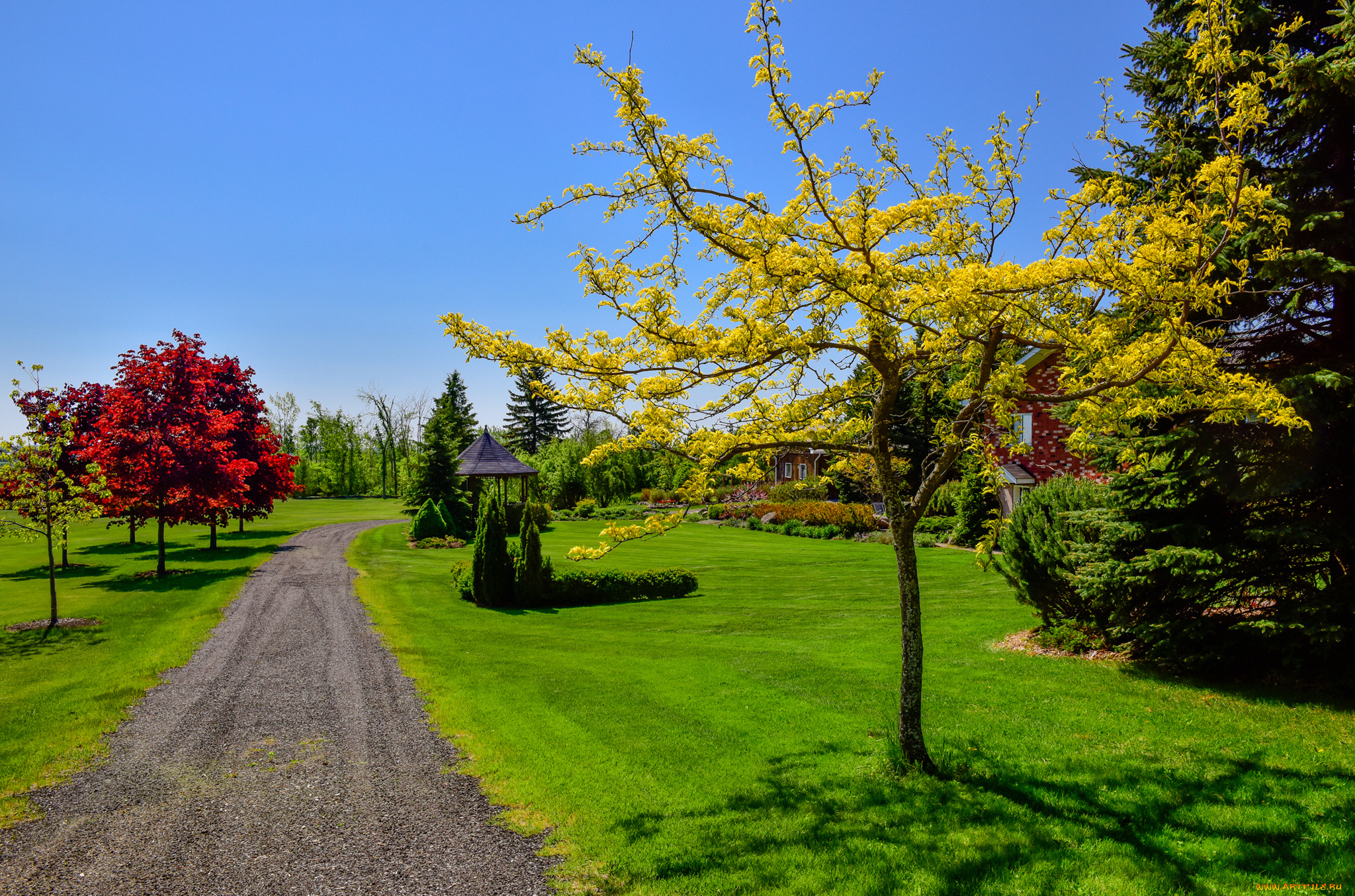 природа, дороги, листья, парк, деревья, трава, дорожка, краски