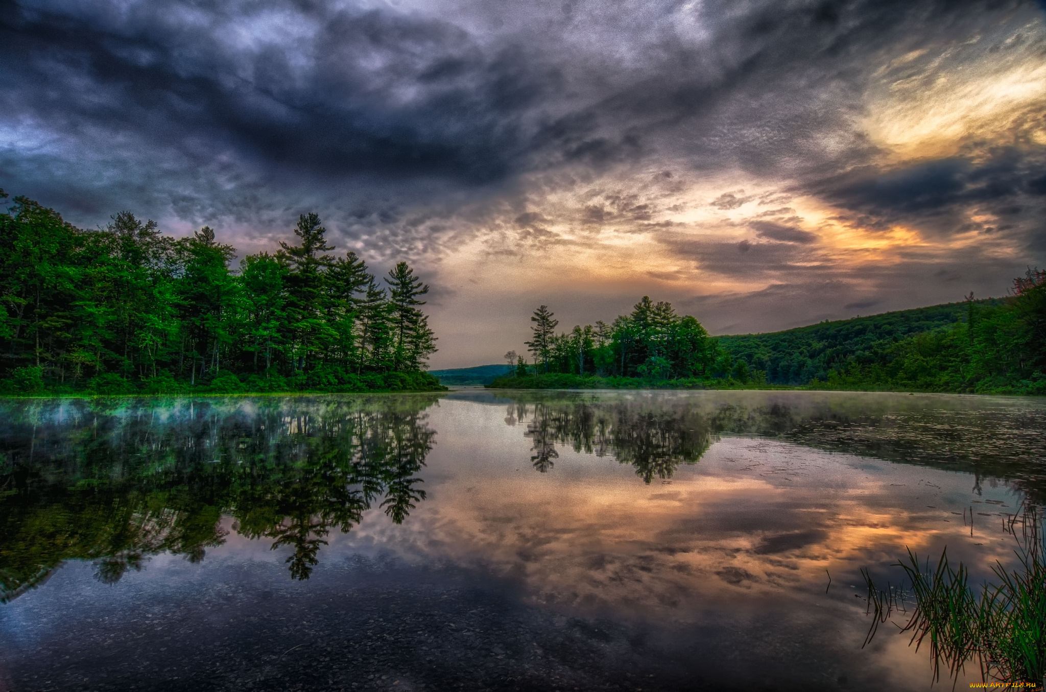 природа, реки, озера, река, лес