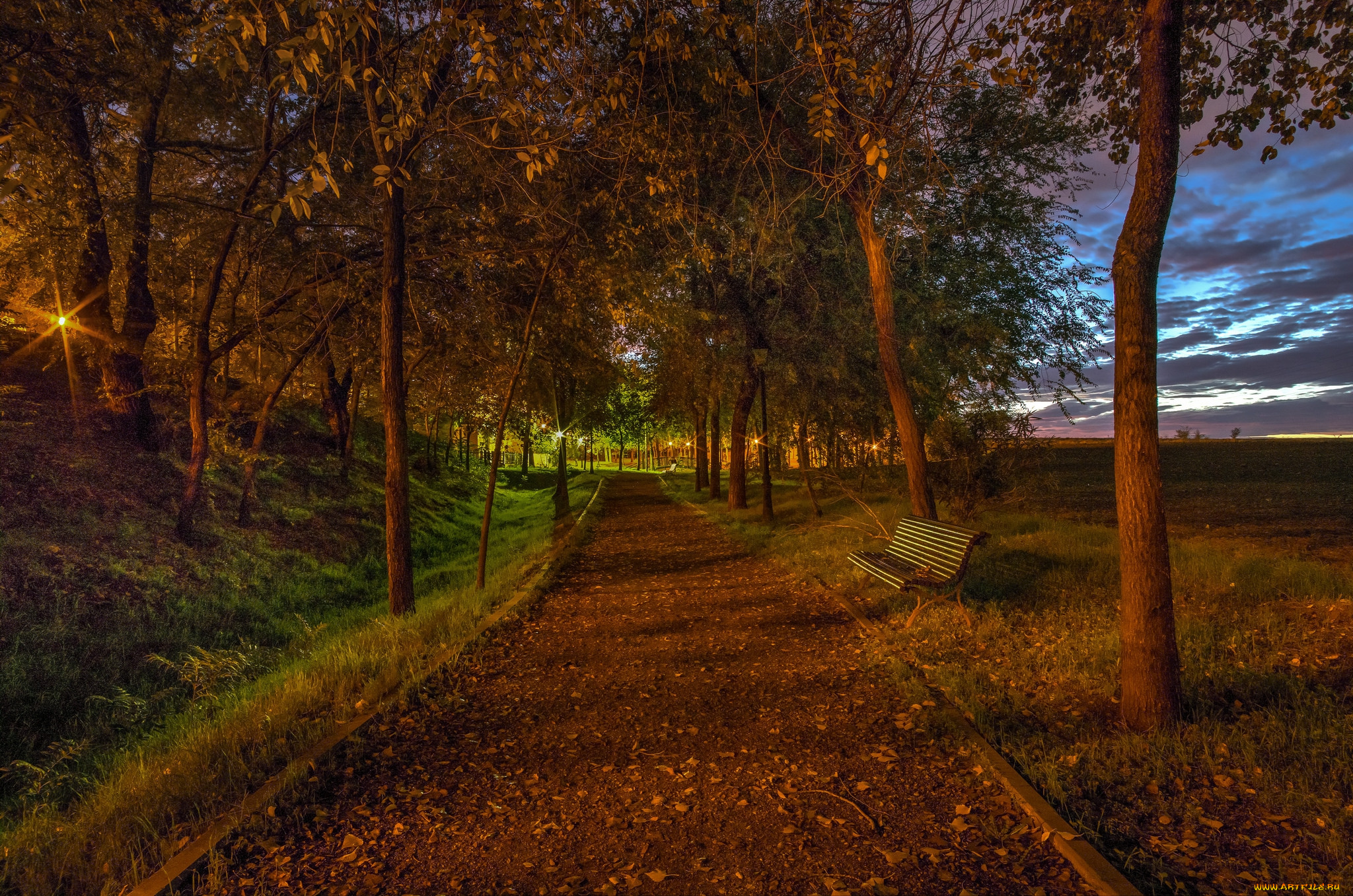 природа, парк, осень, дорожка, аллея