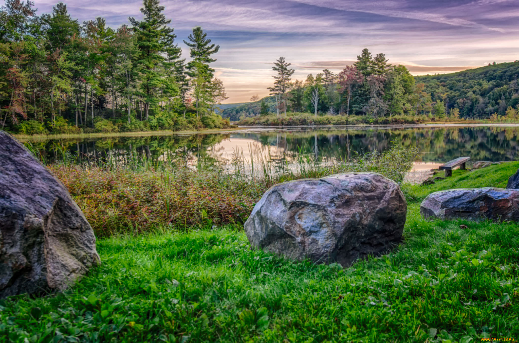 природа, реки, озера, река, лес