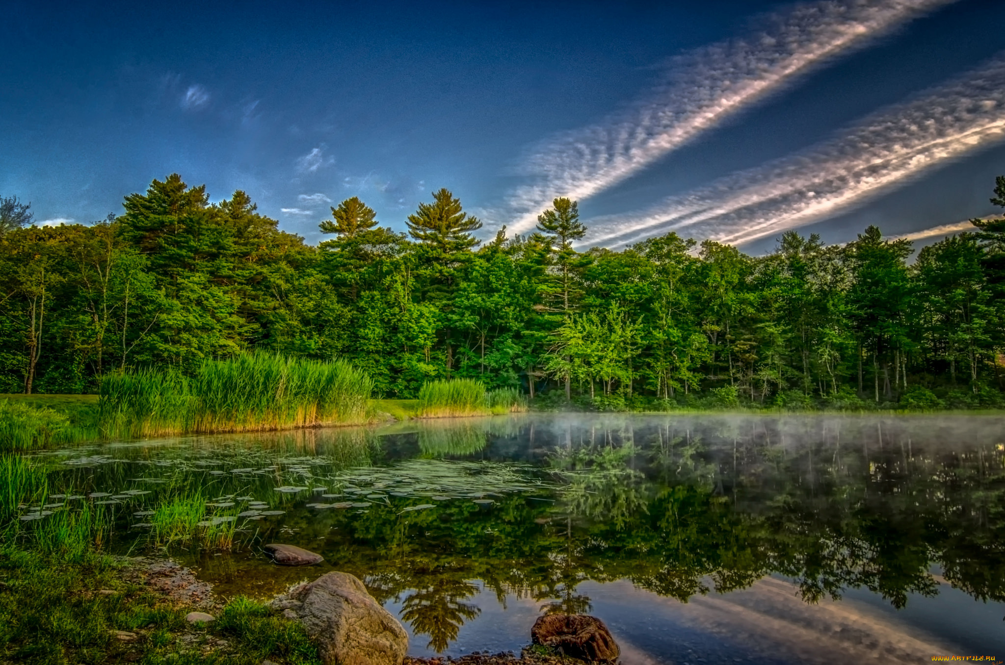 природа, реки, озера, река, лес